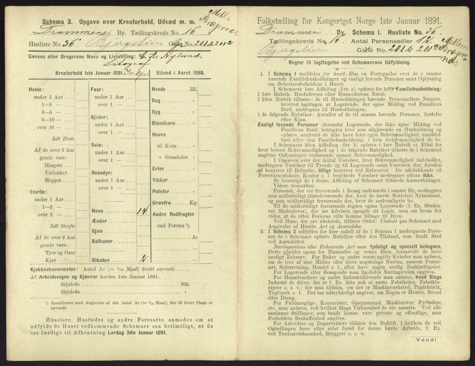 RA, 1891 census for 0602 Drammen, 1891, p. 1387