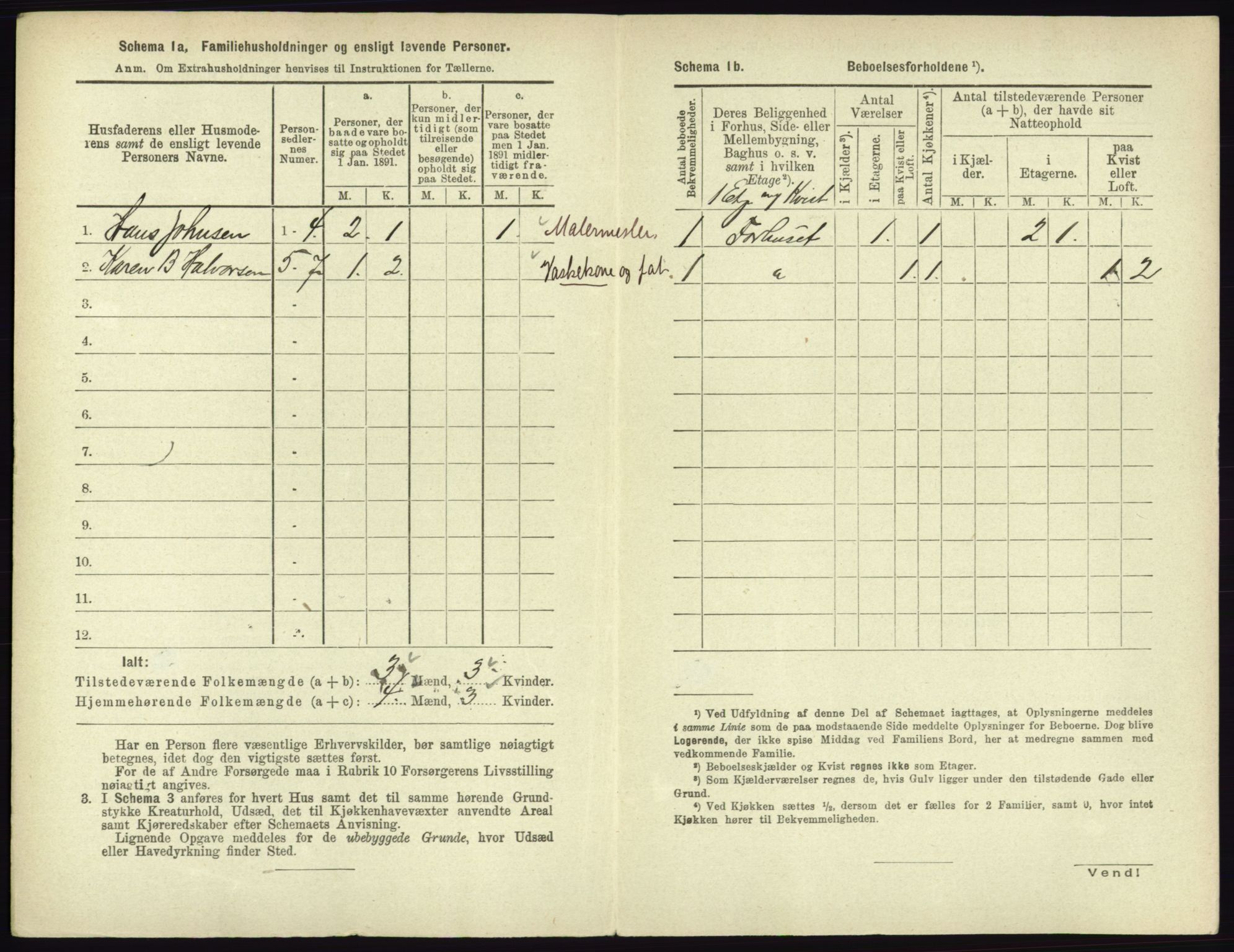 RA, 1891 census for 0602 Drammen, 1891, p. 3102