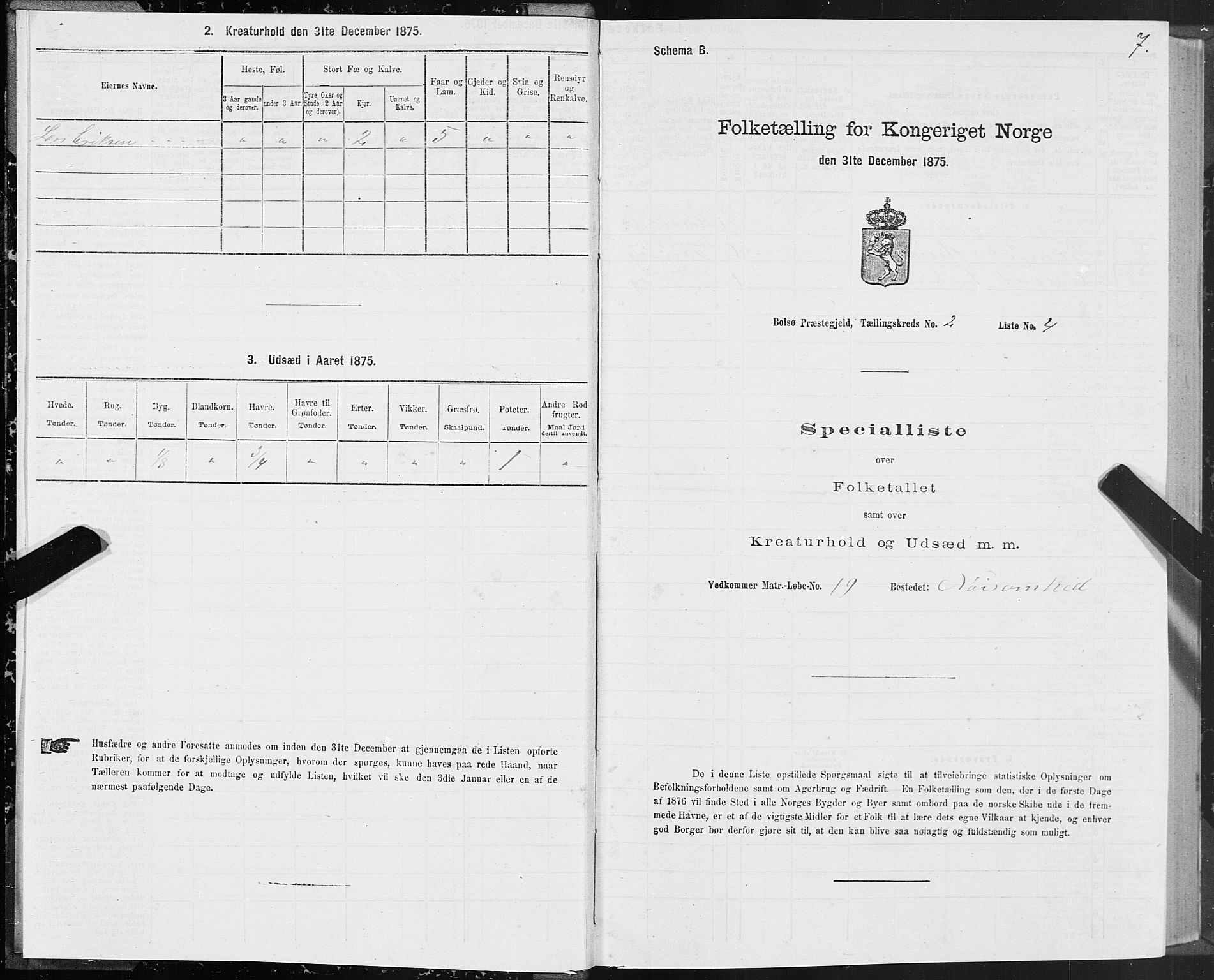 SAT, 1875 census for 1544P Bolsøy, 1875, p. 2007