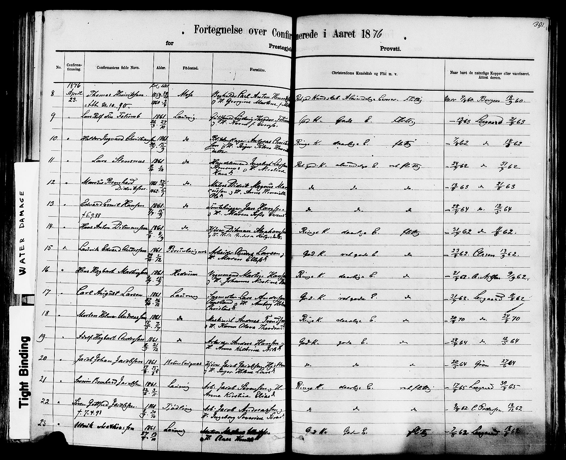 Larvik kirkebøker, AV/SAKO-A-352/F/Fa/L0006: Parish register (official) no. I 6, 1871-1883, p. 391