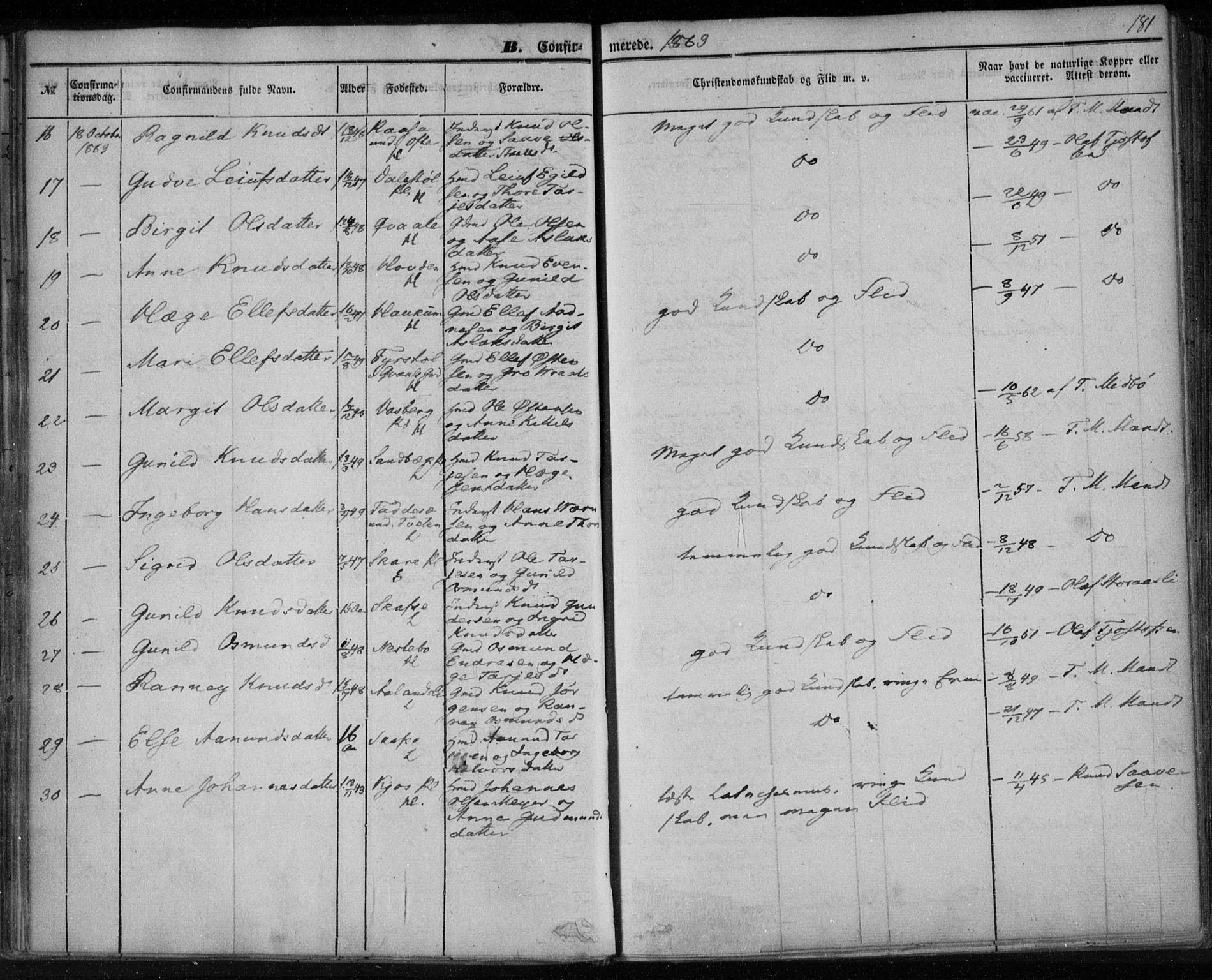 Lårdal kirkebøker, SAKO/A-284/F/Fa/L0006: Parish register (official) no. I 6, 1861-1886, p. 181