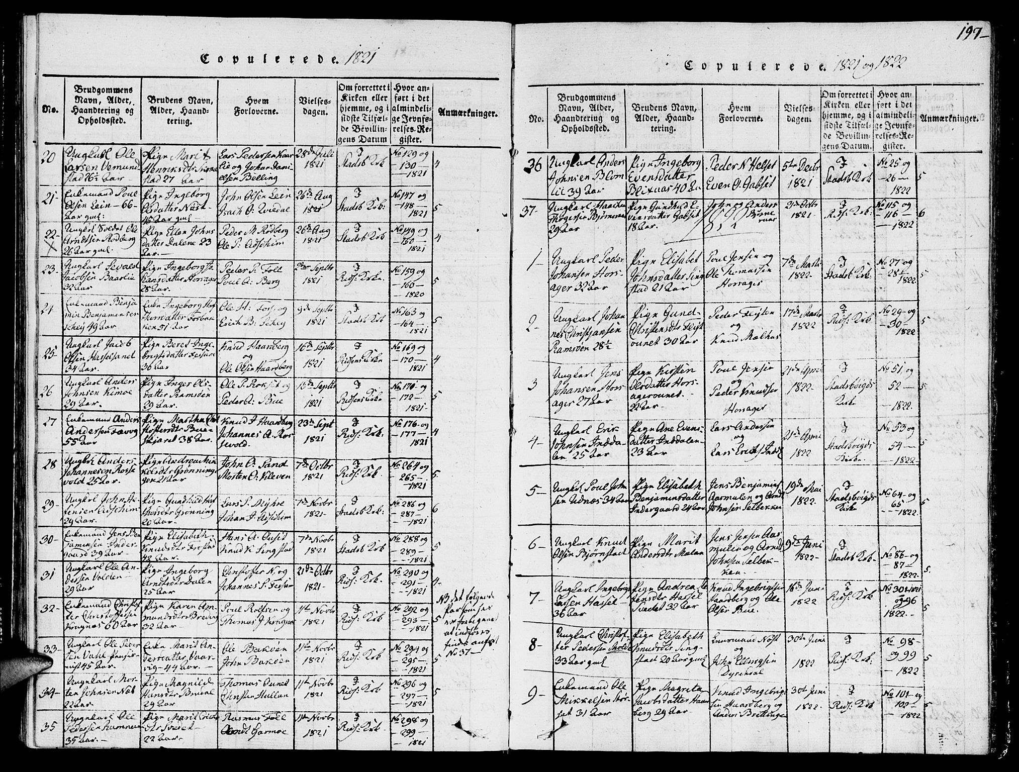 Ministerialprotokoller, klokkerbøker og fødselsregistre - Sør-Trøndelag, SAT/A-1456/646/L0608: Parish register (official) no. 646A06, 1816-1825, p. 197