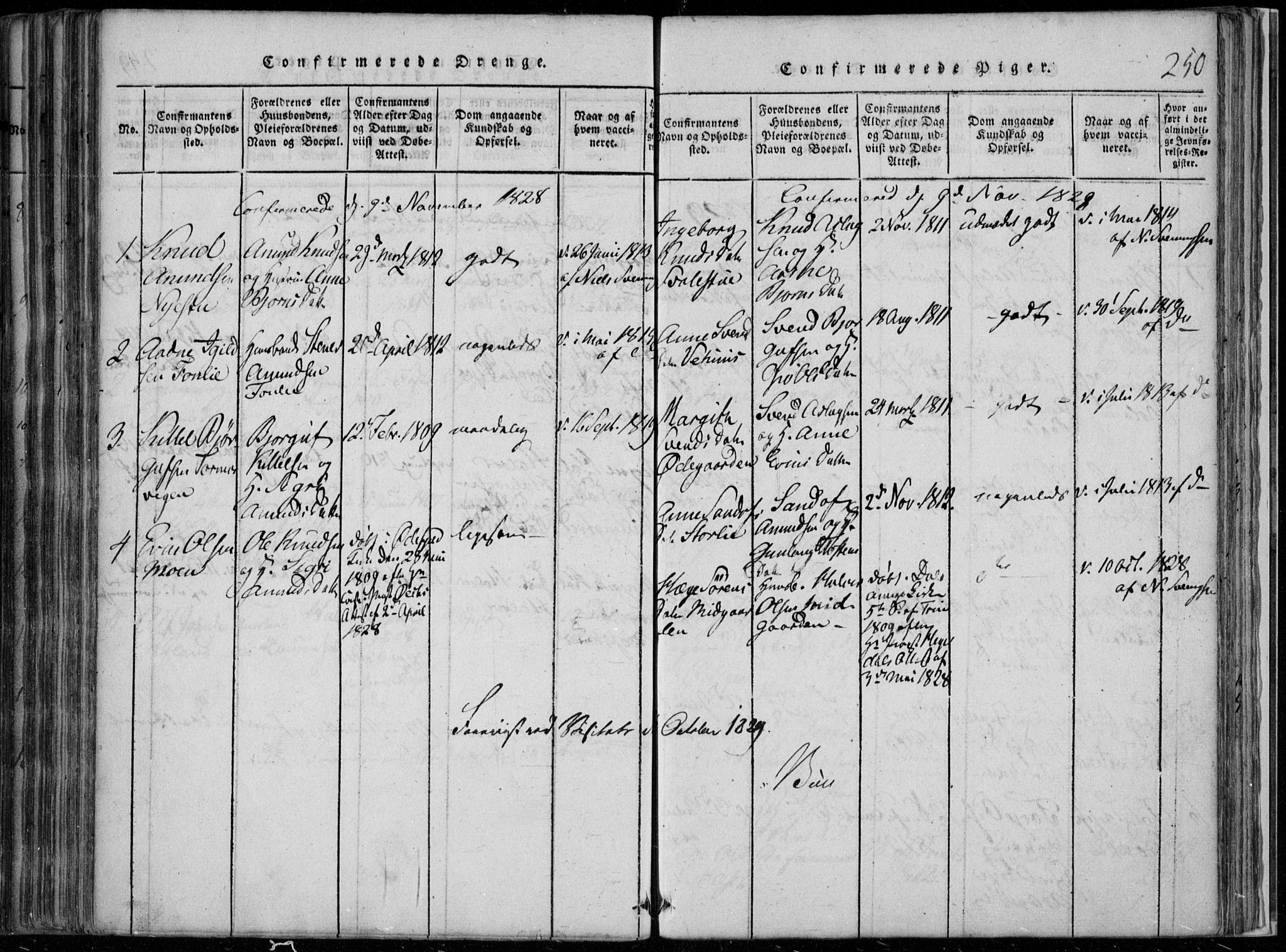 Rauland kirkebøker, AV/SAKO-A-292/F/Fa/L0001: Parish register (official) no. I 1, 1814-1859, p. 250