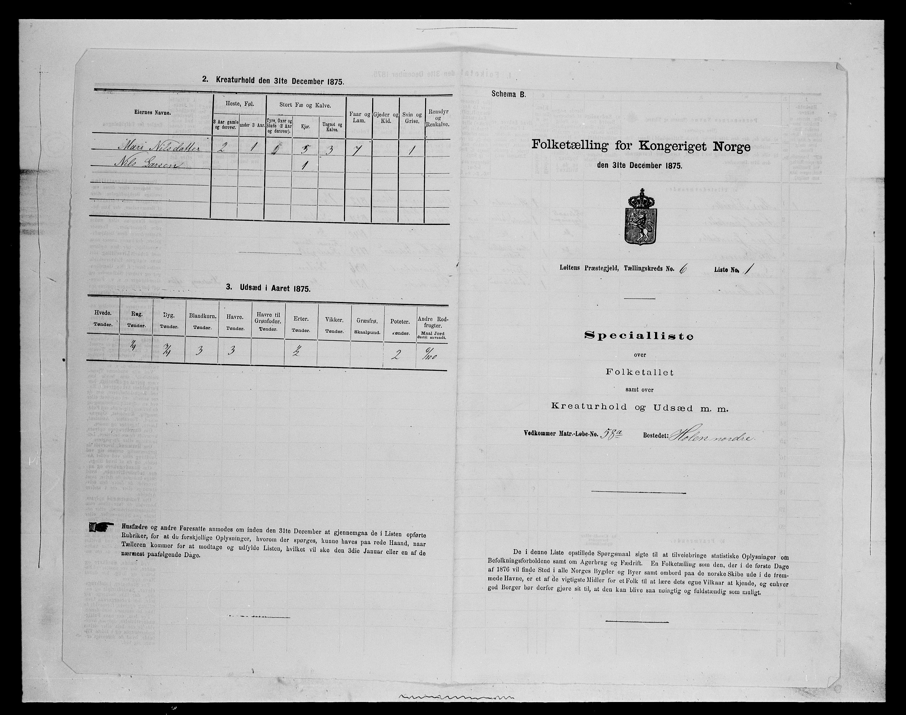 SAH, 1875 census for 0415P Løten, 1875, p. 1251