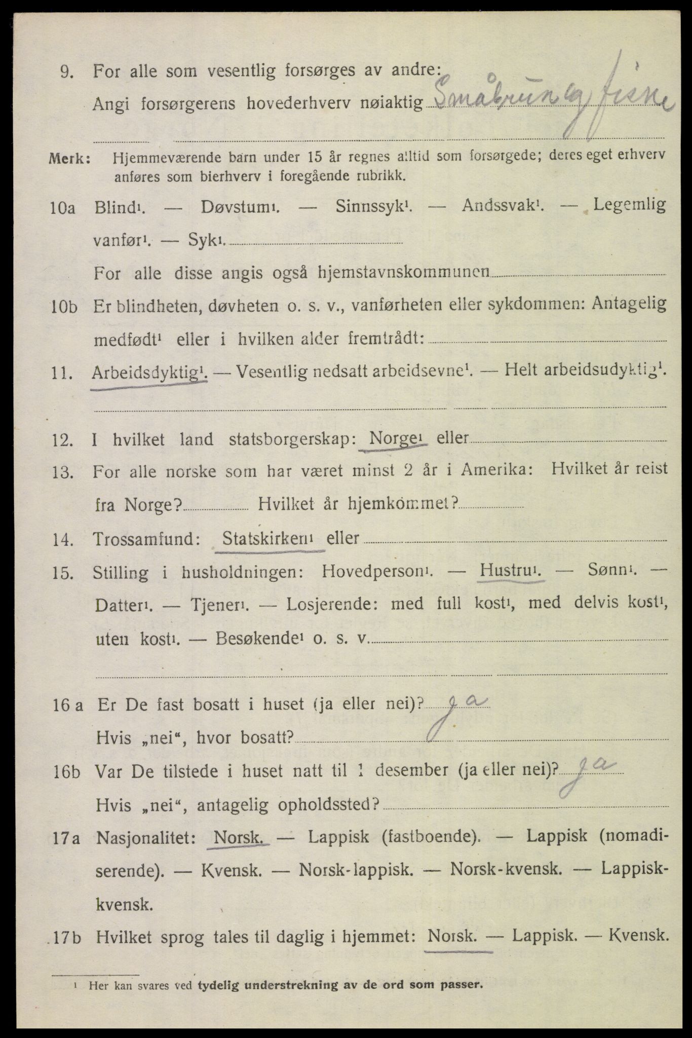 SAT, 1920 census for Bodin, 1920, p. 13025