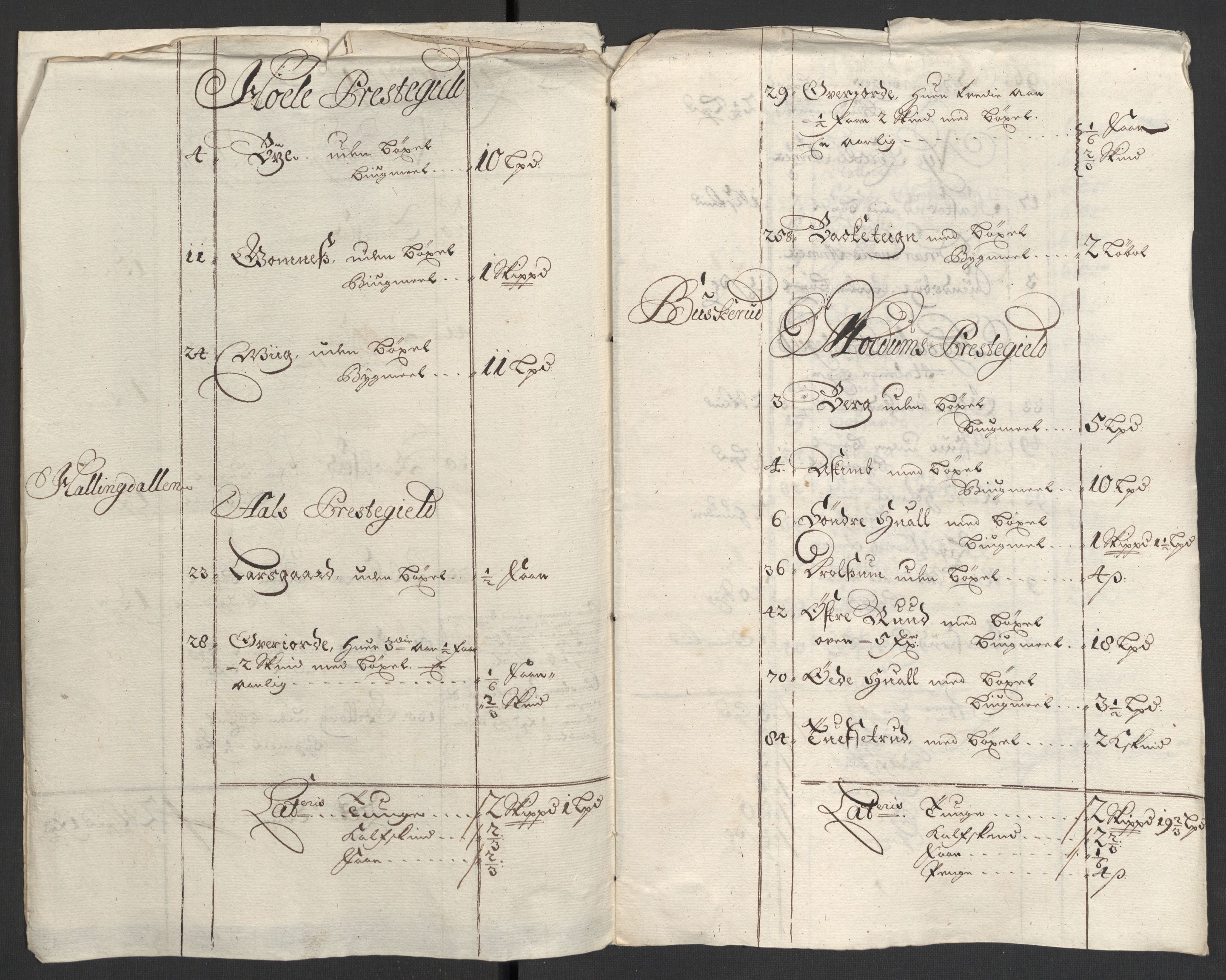 Rentekammeret inntil 1814, Reviderte regnskaper, Fogderegnskap, RA/EA-4092/R22/L1456: Fogderegnskap Ringerike, Hallingdal og Buskerud, 1699, p. 21