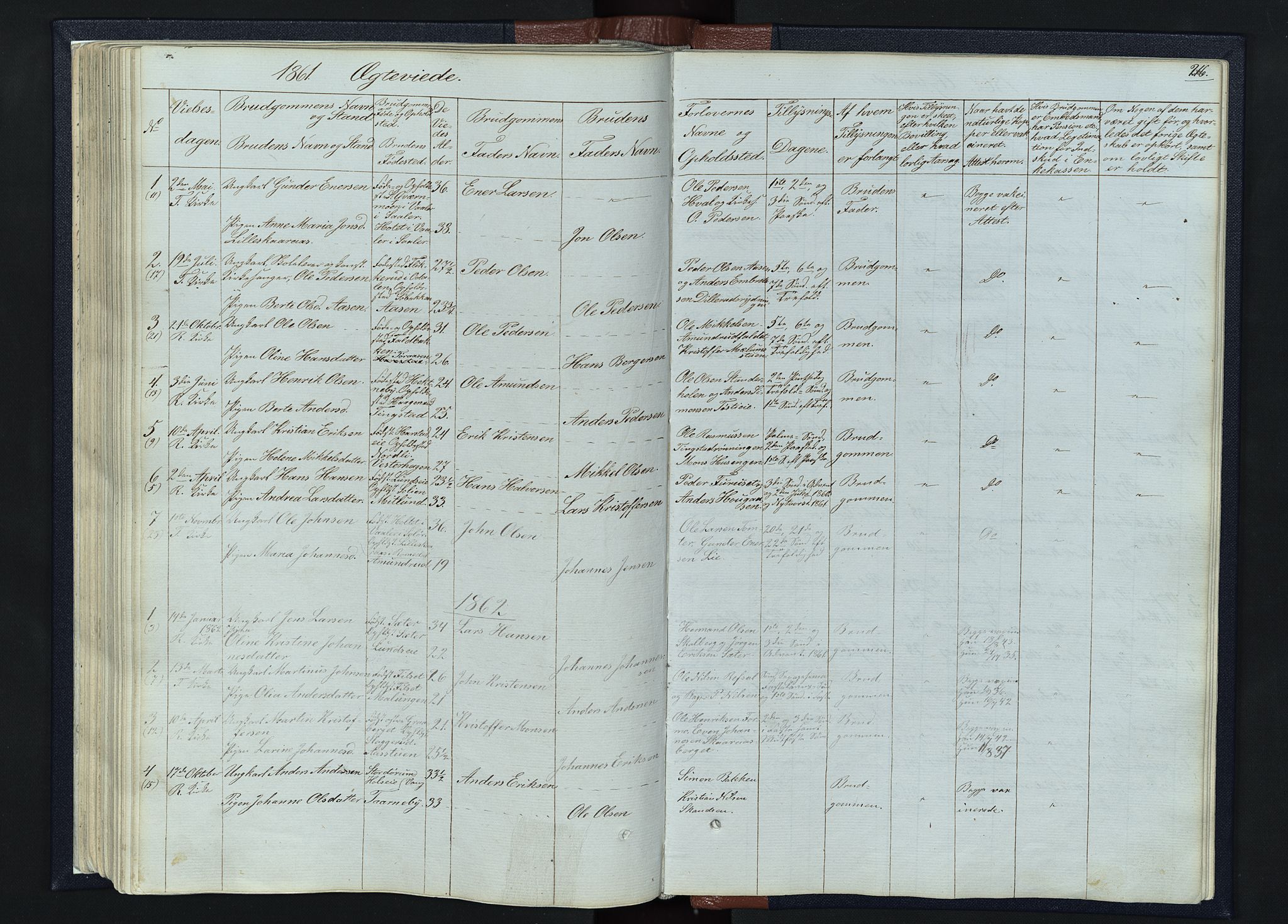 Romedal prestekontor, SAH/PREST-004/L/L0010: Parish register (copy) no. 10, 1860-1895, p. 216