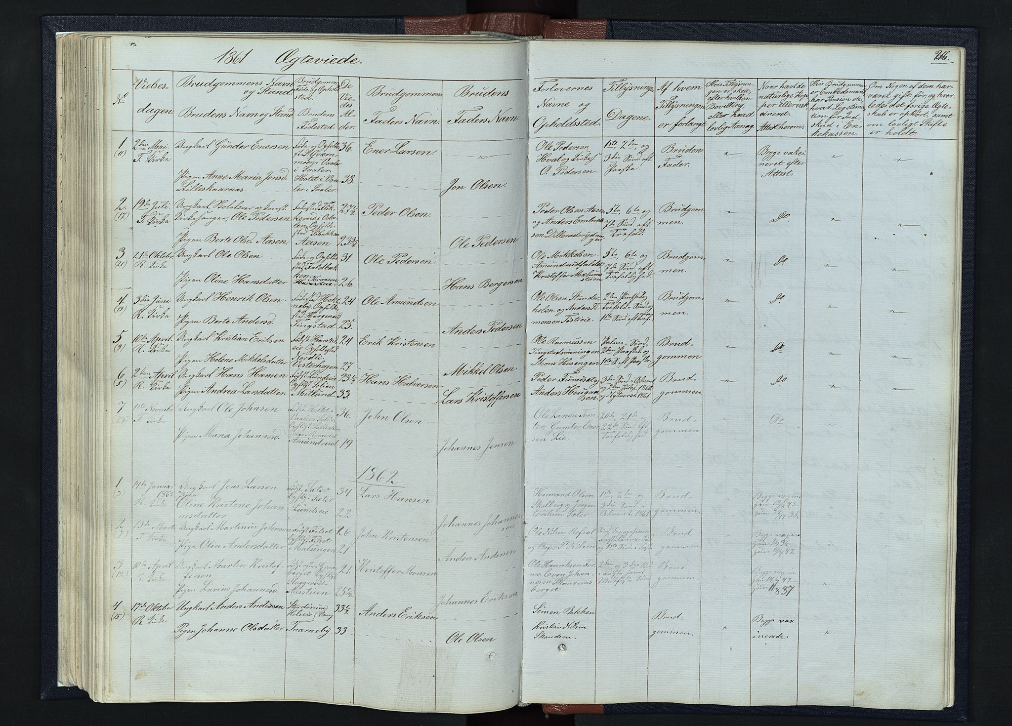 Romedal prestekontor, AV/SAH-PREST-004/L/L0010: Parish register (copy) no. 10, 1860-1895, p. 216