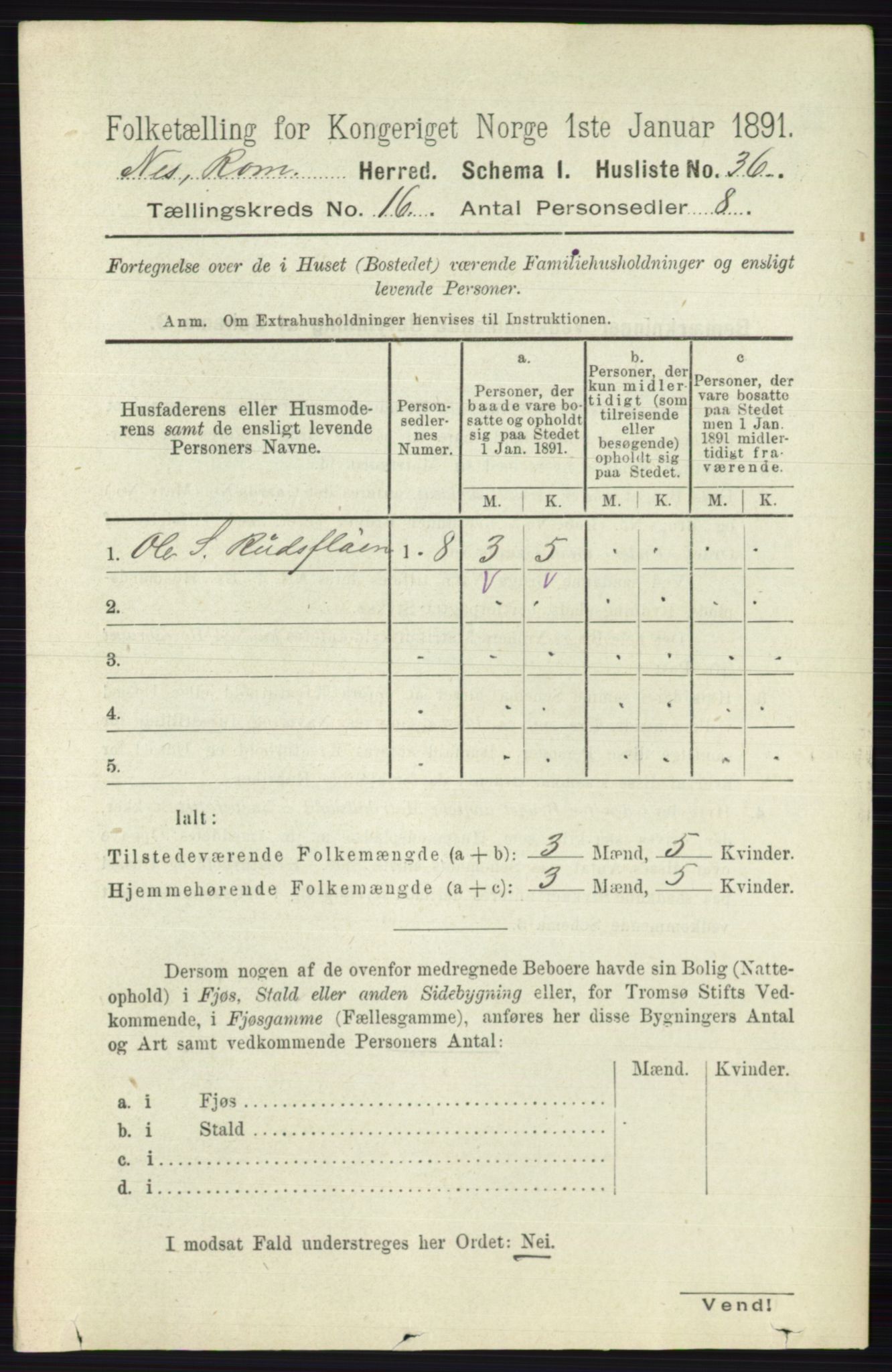 RA, 1891 census for 0236 Nes, 1891, p. 9534
