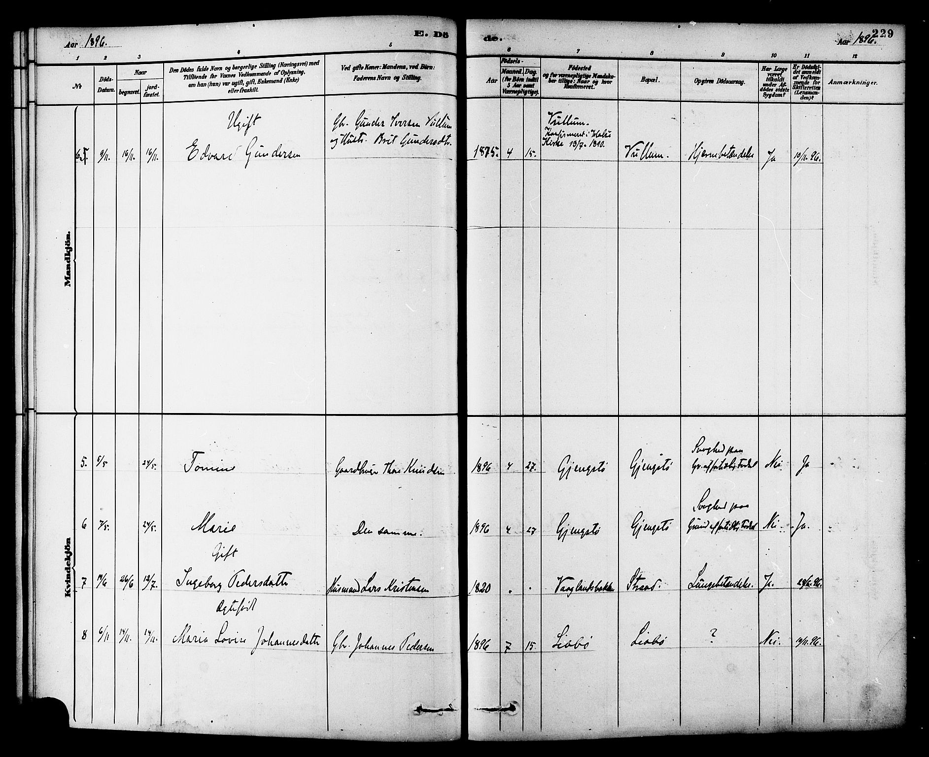 Ministerialprotokoller, klokkerbøker og fødselsregistre - Møre og Romsdal, SAT/A-1454/576/L0885: Parish register (official) no. 576A03, 1880-1898, p. 229