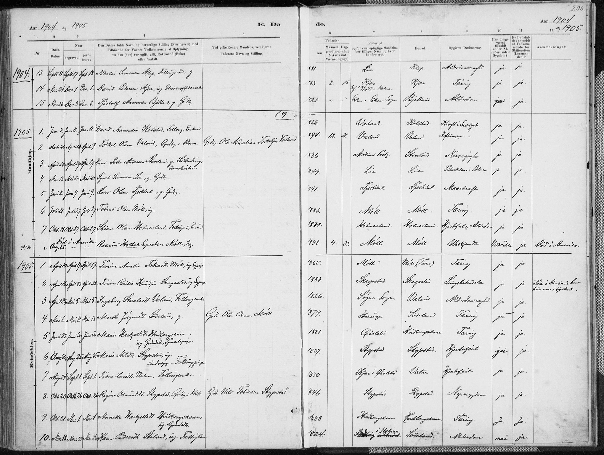 Holum sokneprestkontor, AV/SAK-1111-0022/F/Fa/Faa/L0007: Parish register (official) no. A 7, 1884-1907, p. 200