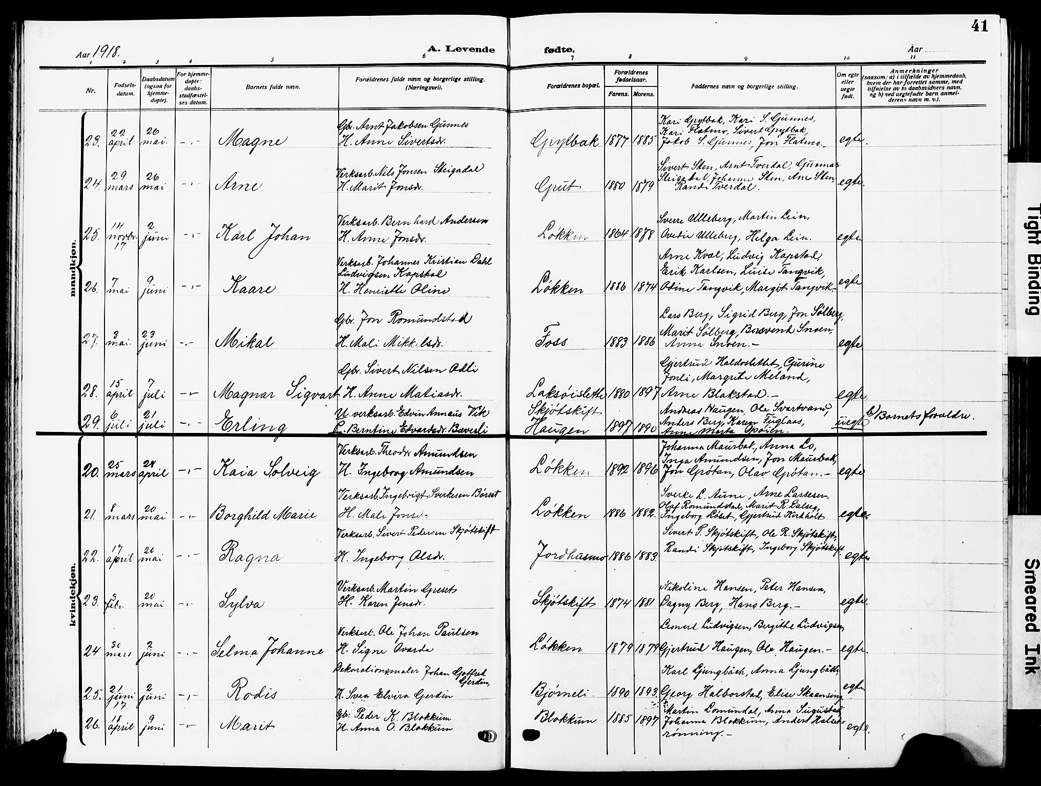 Ministerialprotokoller, klokkerbøker og fødselsregistre - Sør-Trøndelag, AV/SAT-A-1456/672/L0865: Parish register (copy) no. 672C04, 1914-1928, p. 41