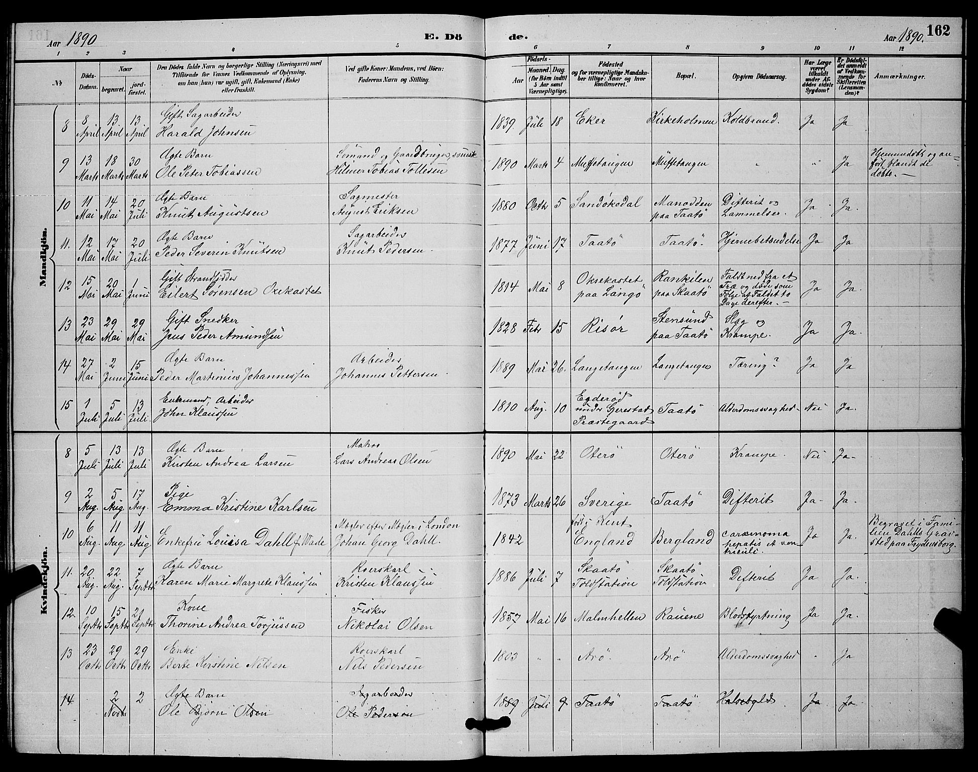 Skåtøy kirkebøker, SAKO/A-304/G/Ga/L0003: Parish register (copy) no. I 3, 1884-1898, p. 162