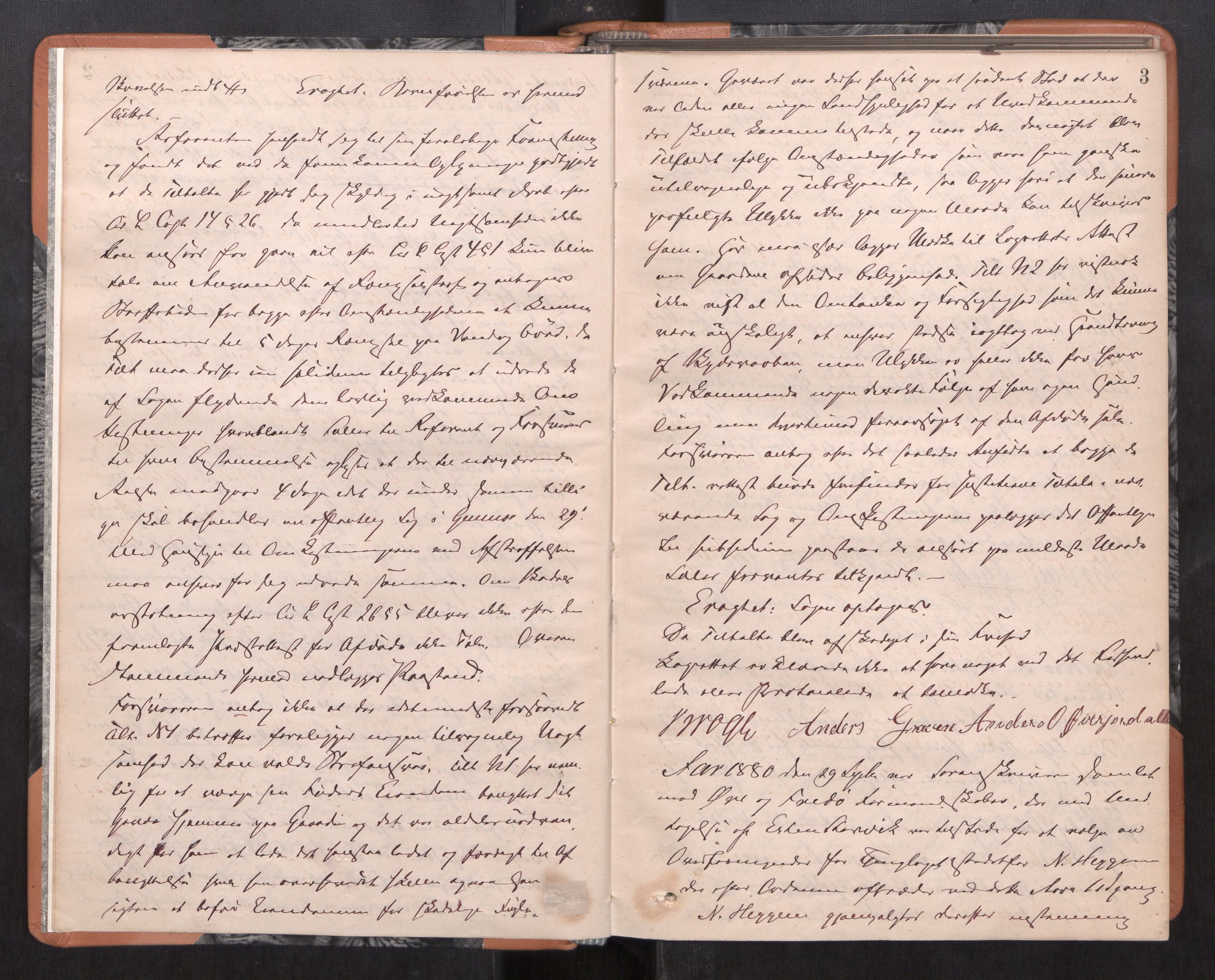 Nordmøre sorenskriveri, AV/SAT-A-4132/1/1/1B/L0019: Ekstrarettsprotokoll, 1880-1883, p. 2b-3a