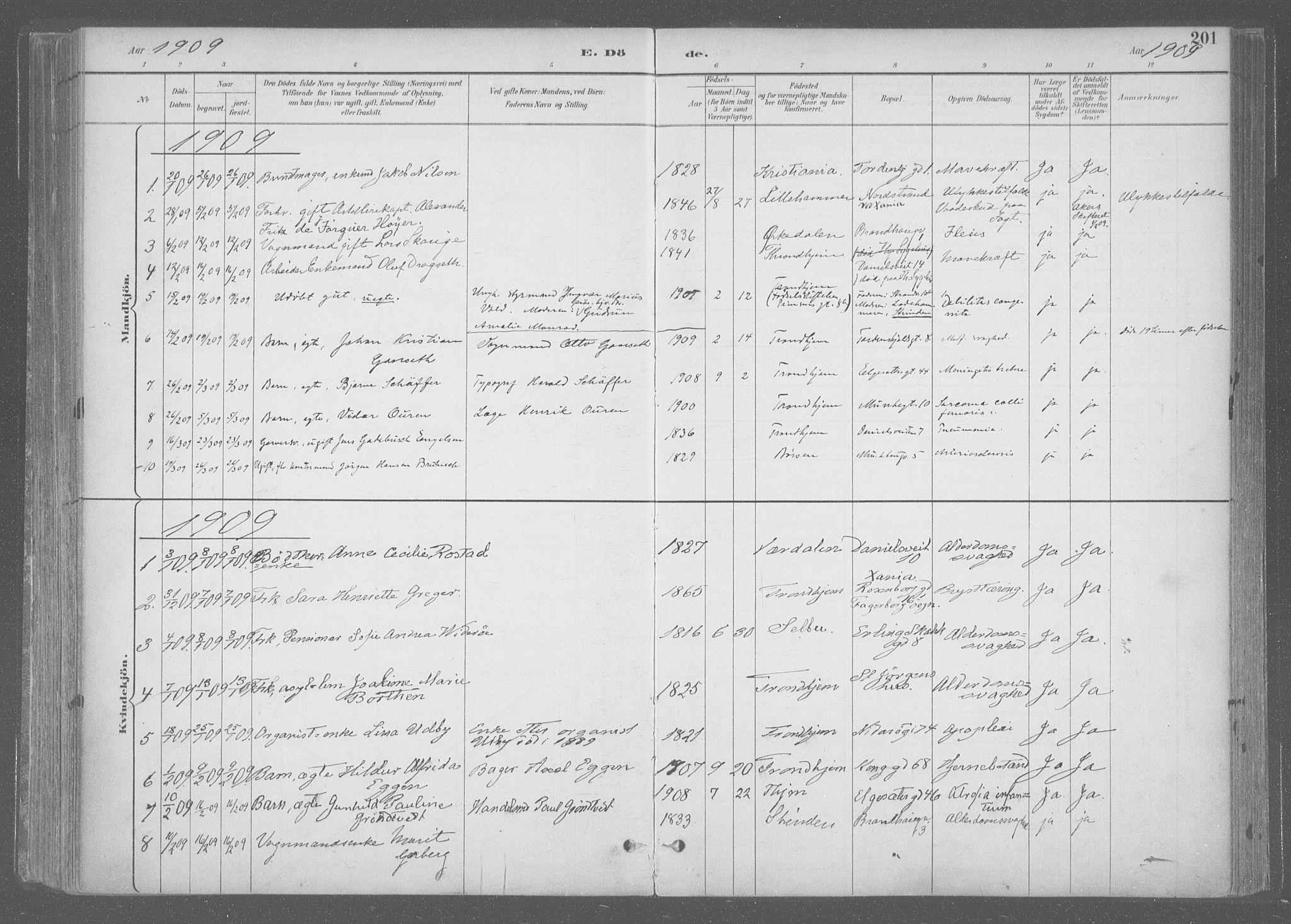 Ministerialprotokoller, klokkerbøker og fødselsregistre - Sør-Trøndelag, SAT/A-1456/601/L0064: Parish register (official) no. 601A31, 1891-1911, p. 201