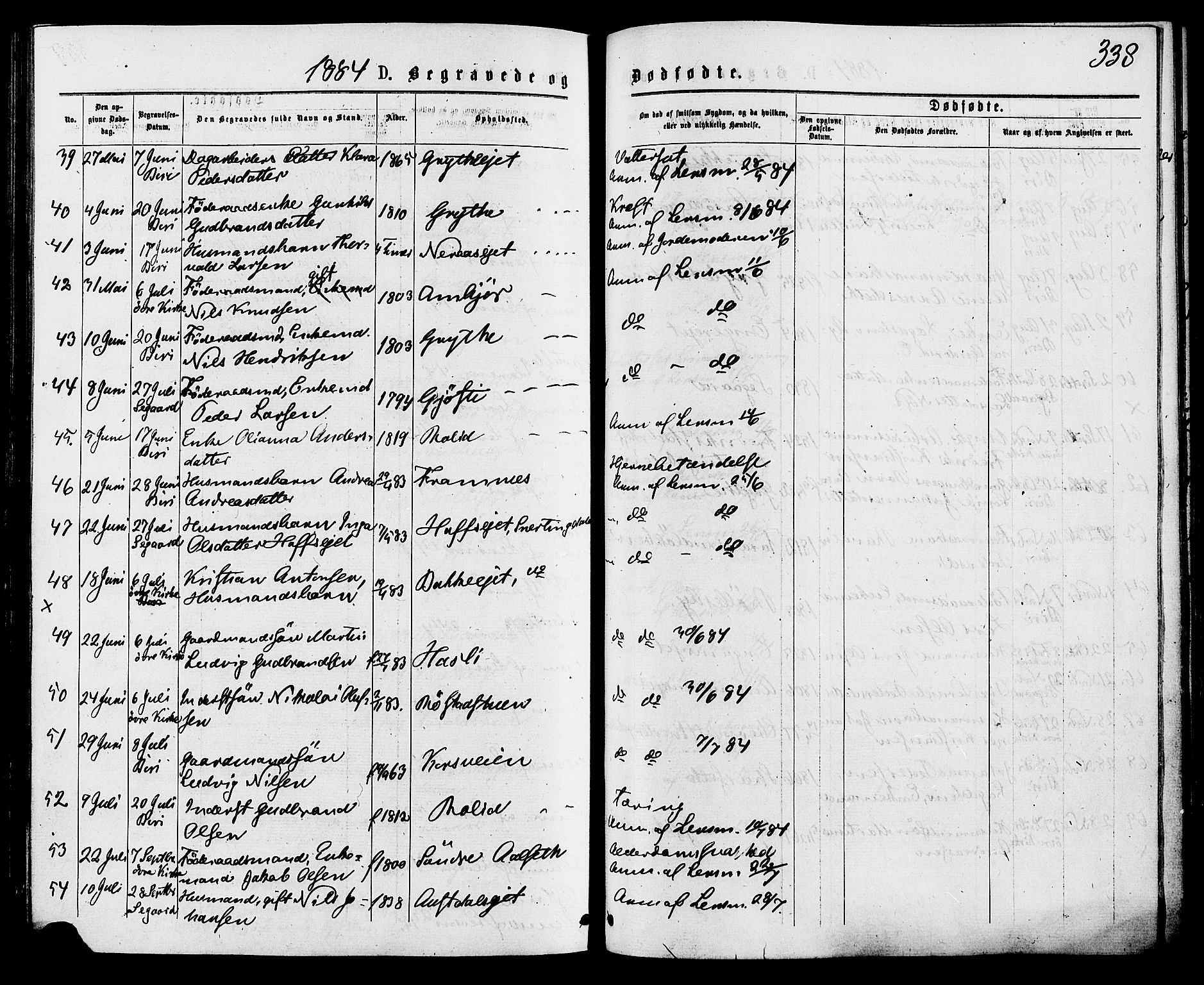 Biri prestekontor, AV/SAH-PREST-096/H/Ha/Haa/L0006: Parish register (official) no. 6, 1877-1886, p. 338