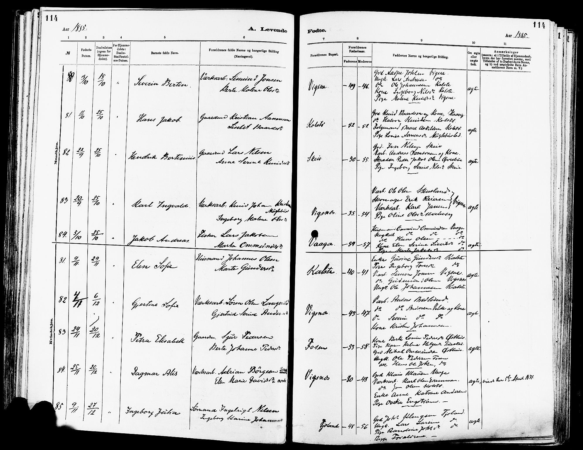 Avaldsnes sokneprestkontor, AV/SAST-A -101851/H/Ha/Haa/L0014: Parish register (official) no. A 14, 1880-1889, p. 114