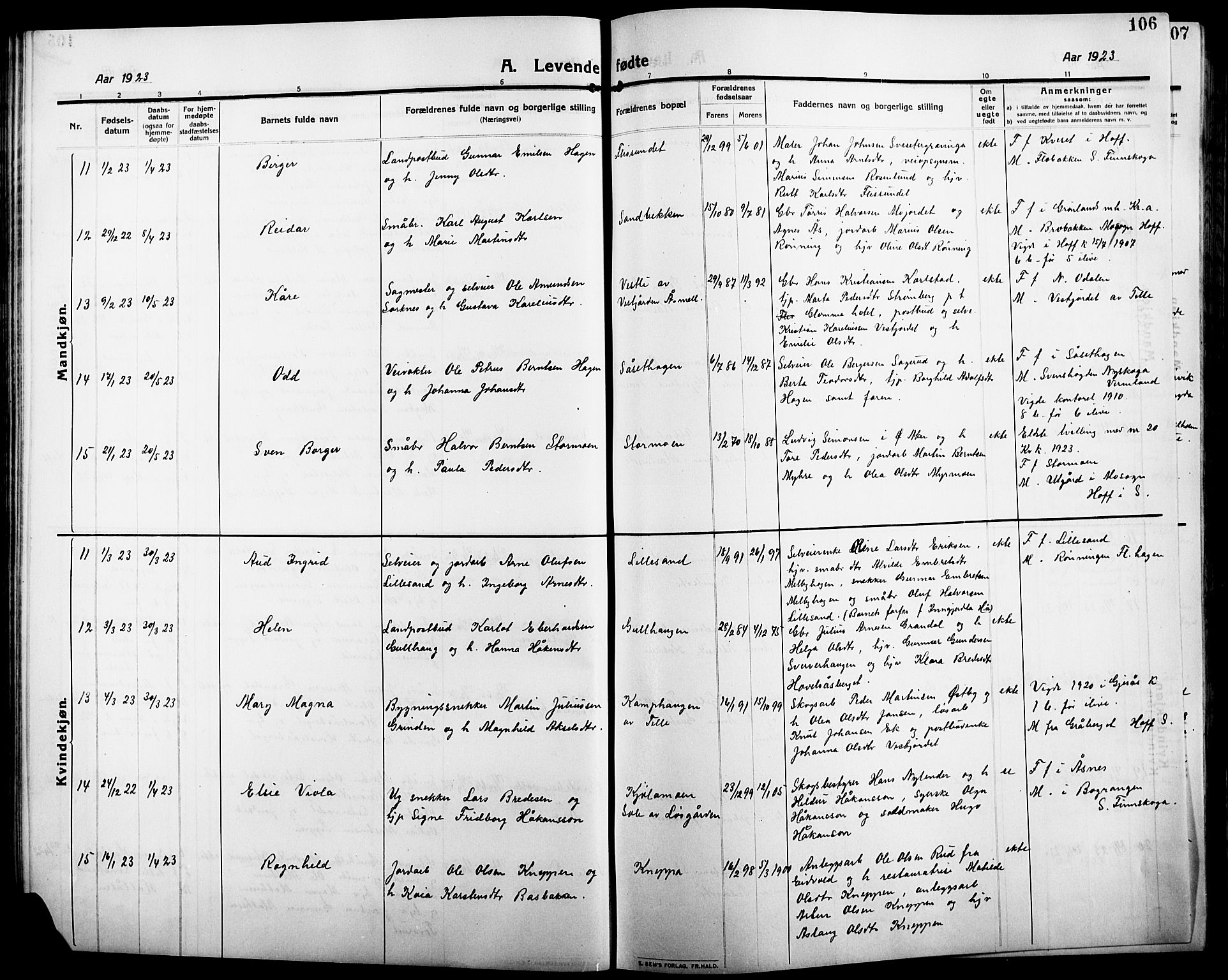 Åsnes prestekontor, AV/SAH-PREST-042/H/Ha/Hab/L0007: Parish register (copy) no. 7, 1909-1926, p. 106