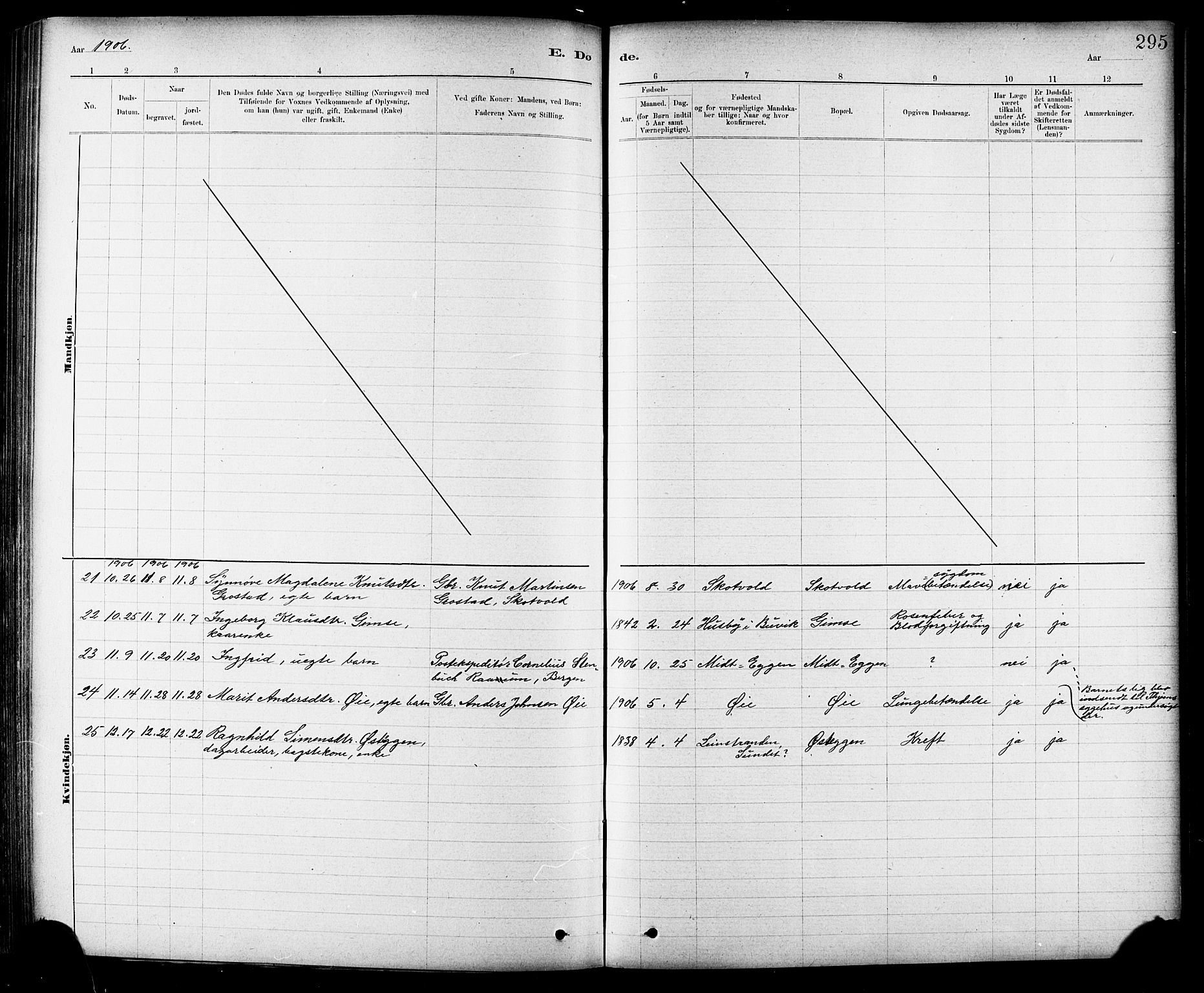 Ministerialprotokoller, klokkerbøker og fødselsregistre - Sør-Trøndelag, SAT/A-1456/691/L1094: Parish register (copy) no. 691C05, 1879-1911, p. 295