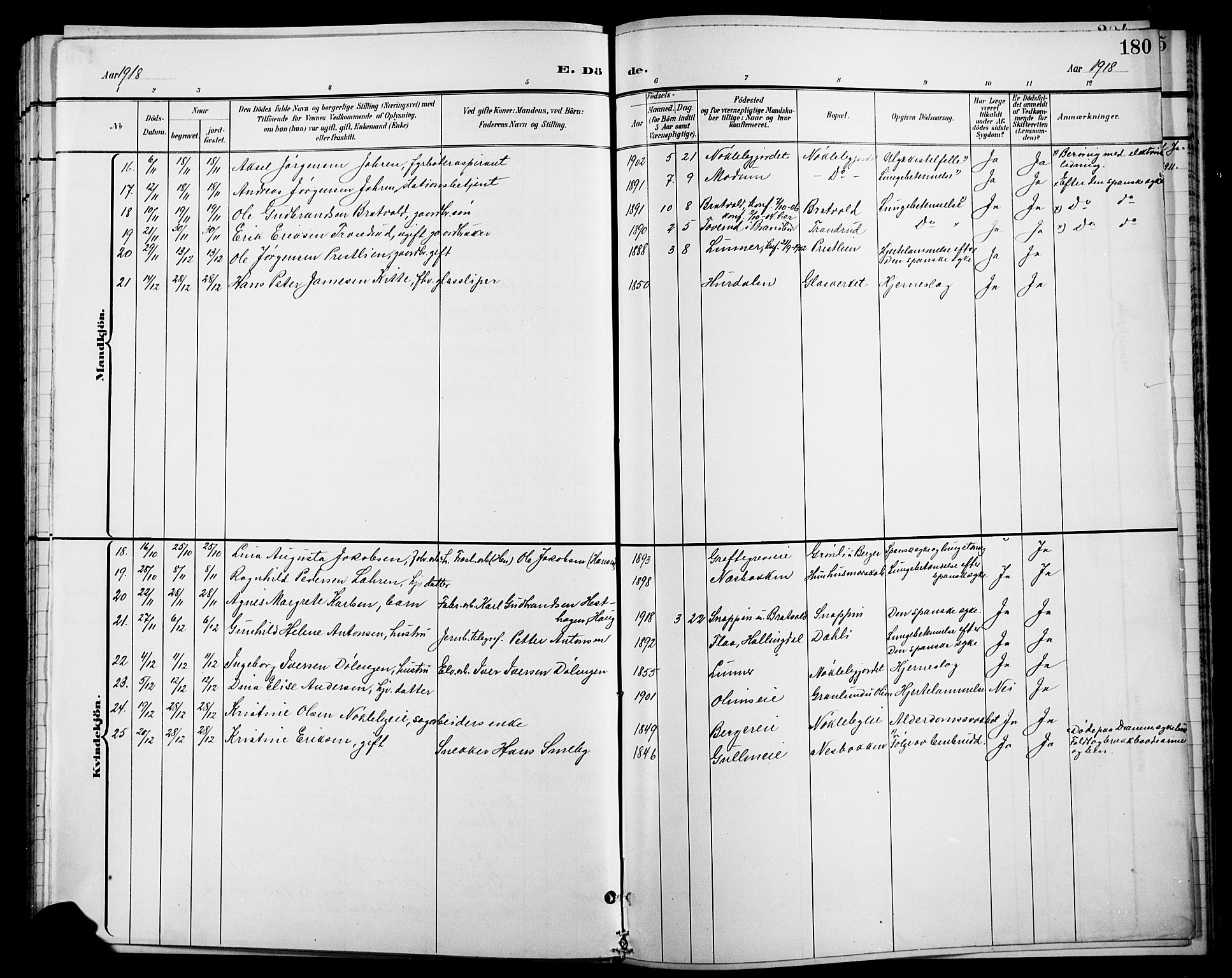 Jevnaker prestekontor, AV/SAH-PREST-116/H/Ha/Hab/L0004: Parish register (copy) no. 4, 1907-1918, p. 203e