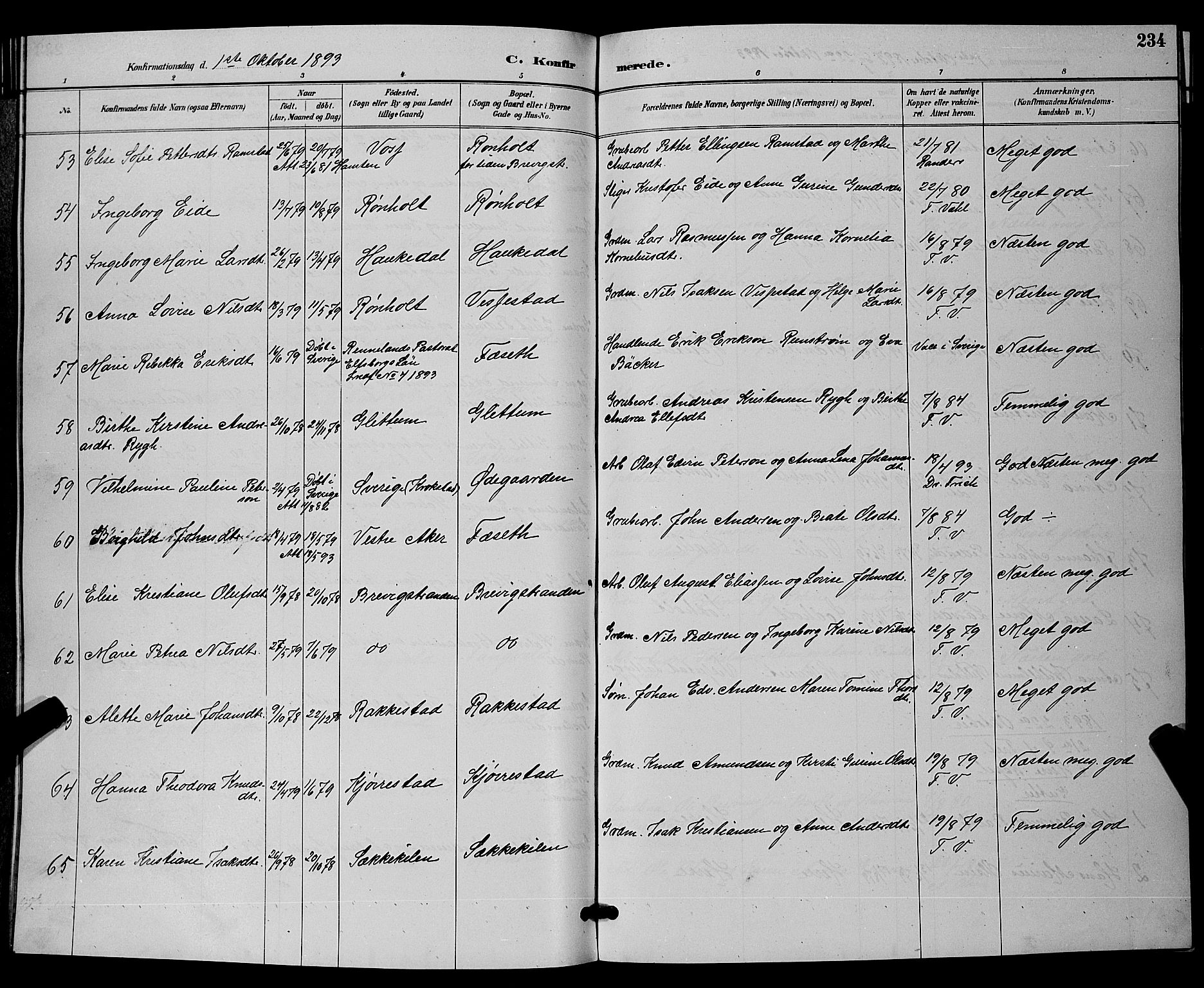 Bamble kirkebøker, AV/SAKO-A-253/G/Ga/L0009: Parish register (copy) no. I 9, 1888-1900, p. 234