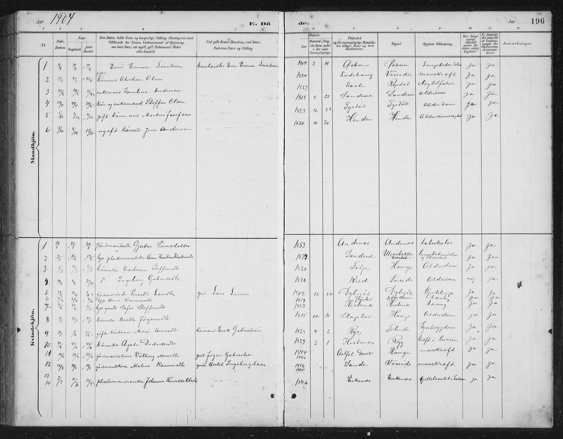 Gloppen sokneprestembete, SAB/A-80101/H/Hab/Habb/L0002: Parish register (copy) no. B 2, 1889-1909, p. 196