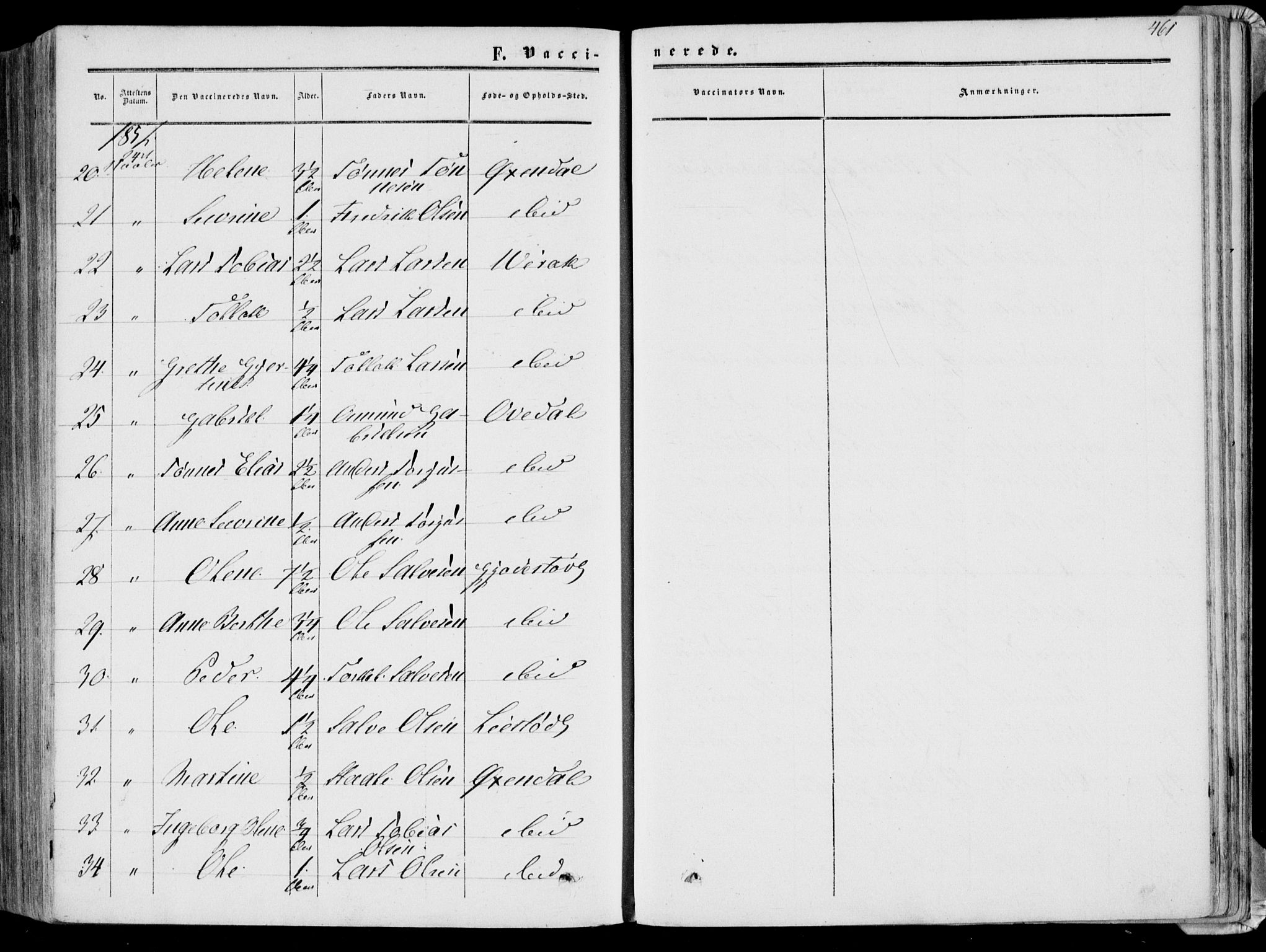 Bakke sokneprestkontor, AV/SAK-1111-0002/F/Fa/Faa/L0006: Parish register (official) no. A 6, 1855-1877, p. 461