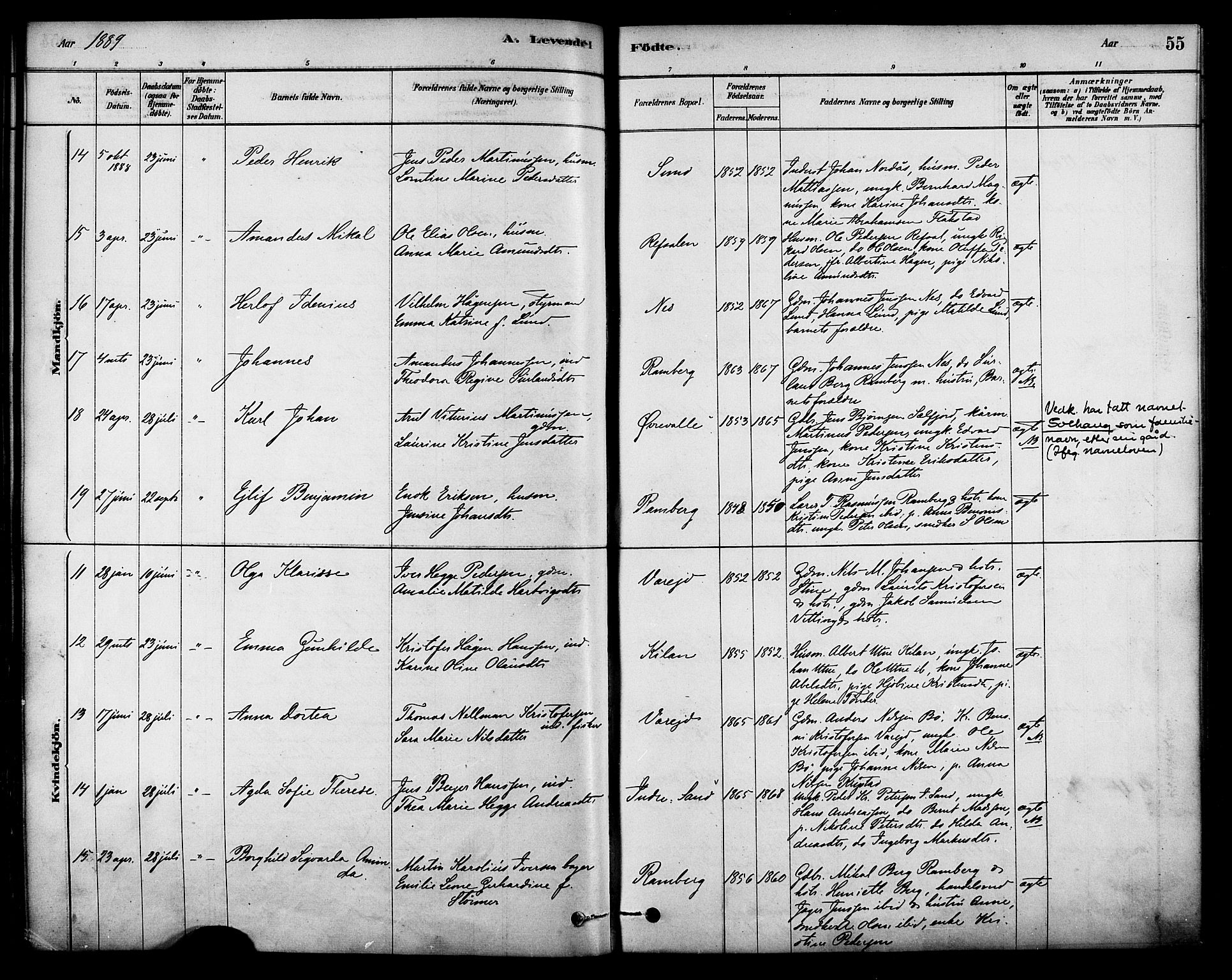 Ministerialprotokoller, klokkerbøker og fødselsregistre - Nordland, AV/SAT-A-1459/885/L1204: Parish register (official) no. 885A05, 1878-1892, p. 55