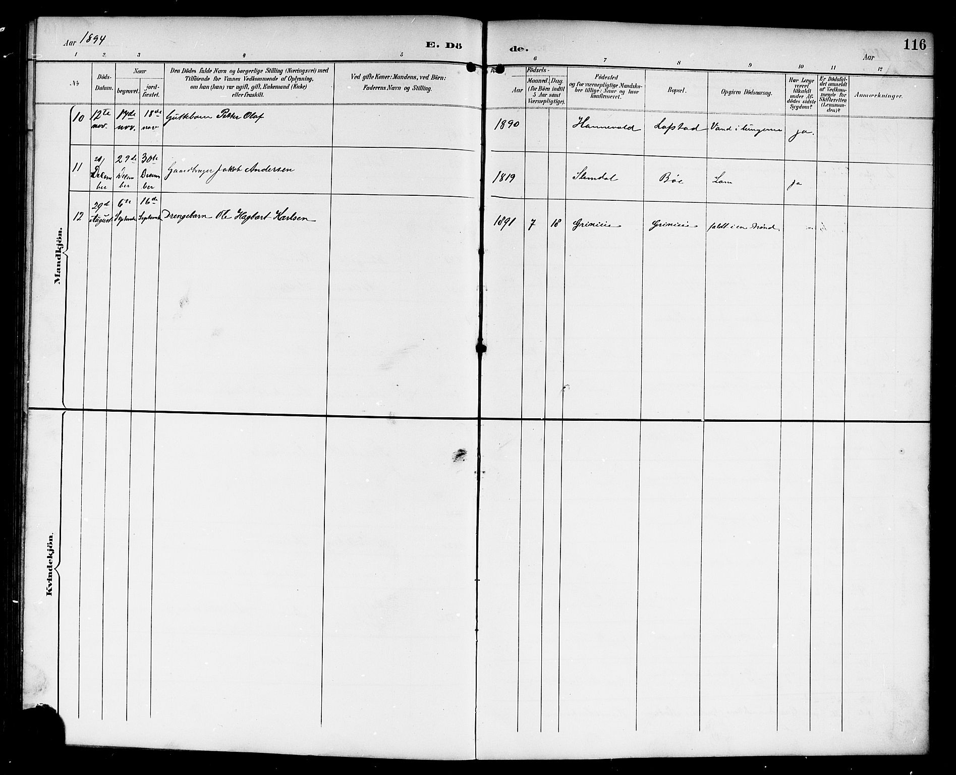 Lardal kirkebøker, AV/SAKO-A-350/G/Gc/L0002: Parish register (copy) no. III 2, 1894-1918, p. 116