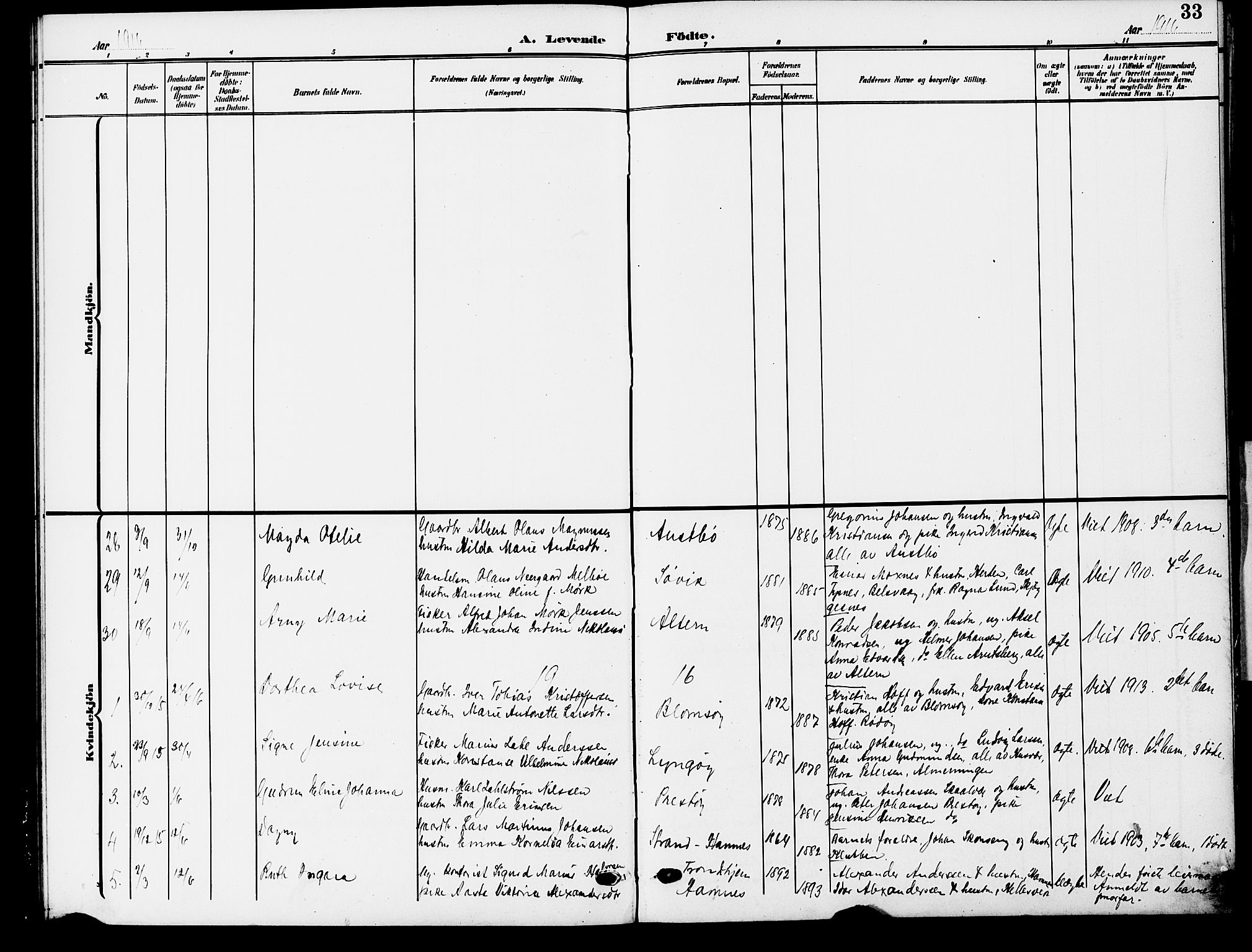 Ministerialprotokoller, klokkerbøker og fødselsregistre - Nordland, AV/SAT-A-1459/830/L0464: Parish register (copy) no. 830C06, 1906-1925, p. 33