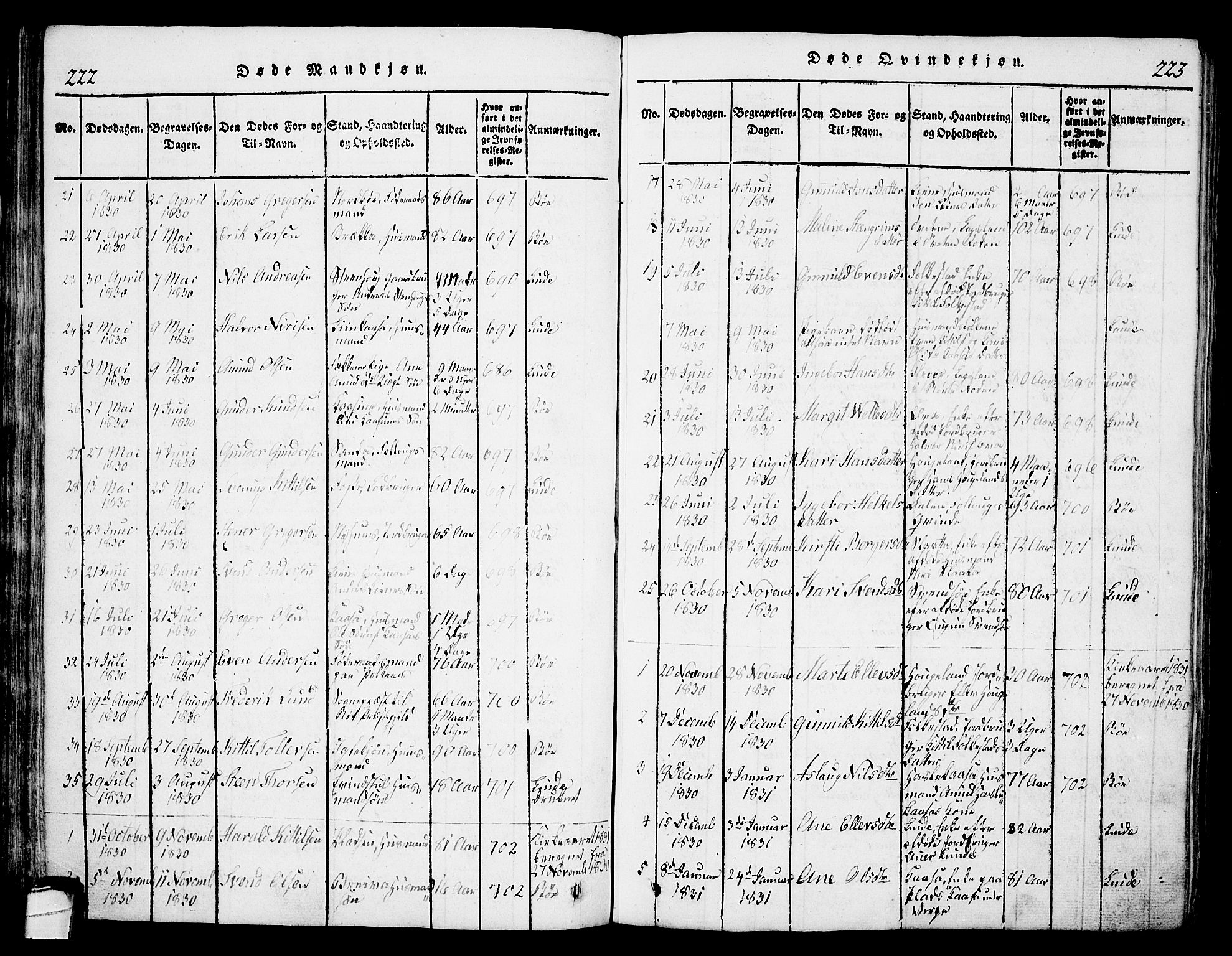 Bø kirkebøker, AV/SAKO-A-257/G/Ga/L0001: Parish register (copy) no. 1, 1815-1831, p. 222-223