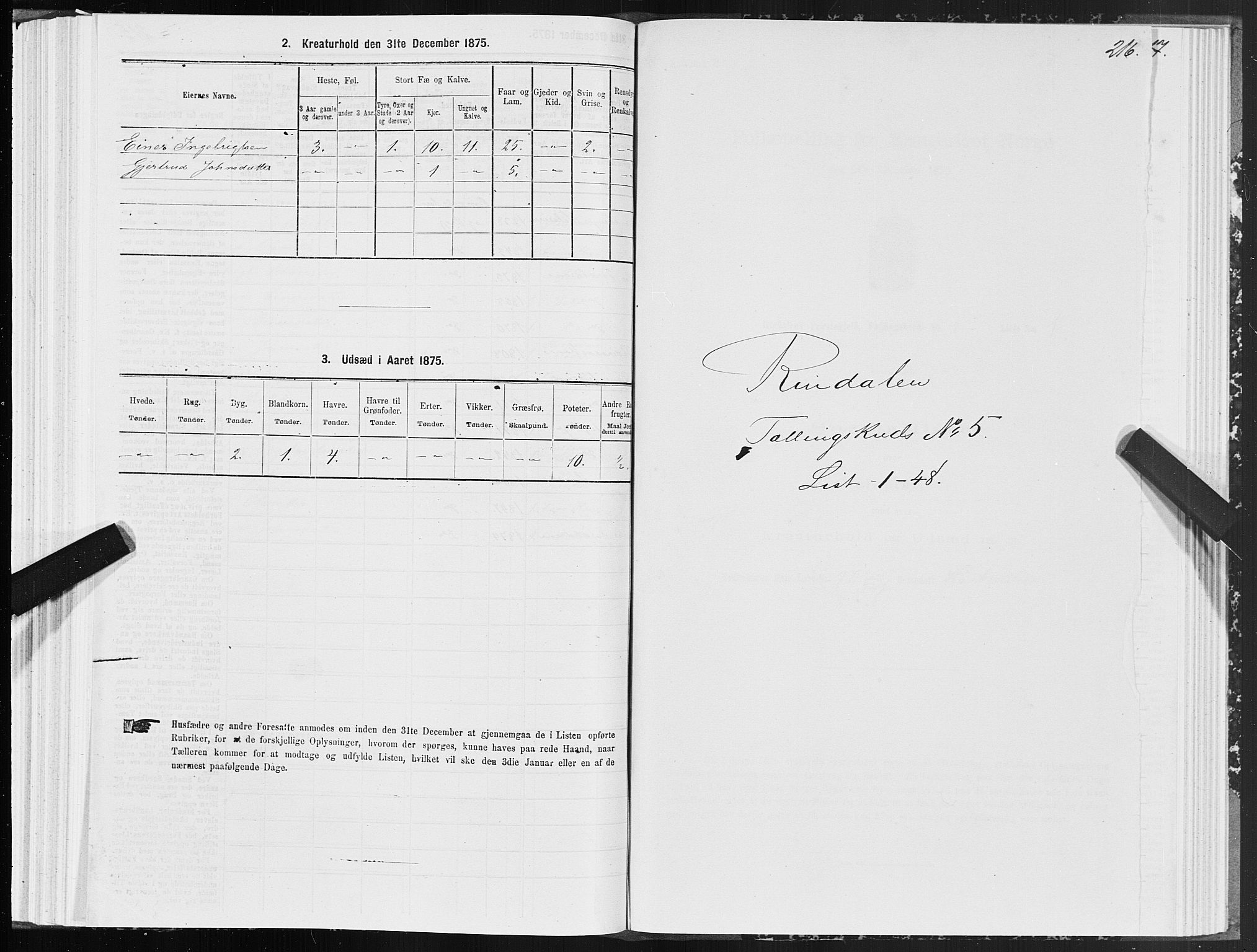 SAT, 1875 census for 1567P Rindal, 1875, p. 2216