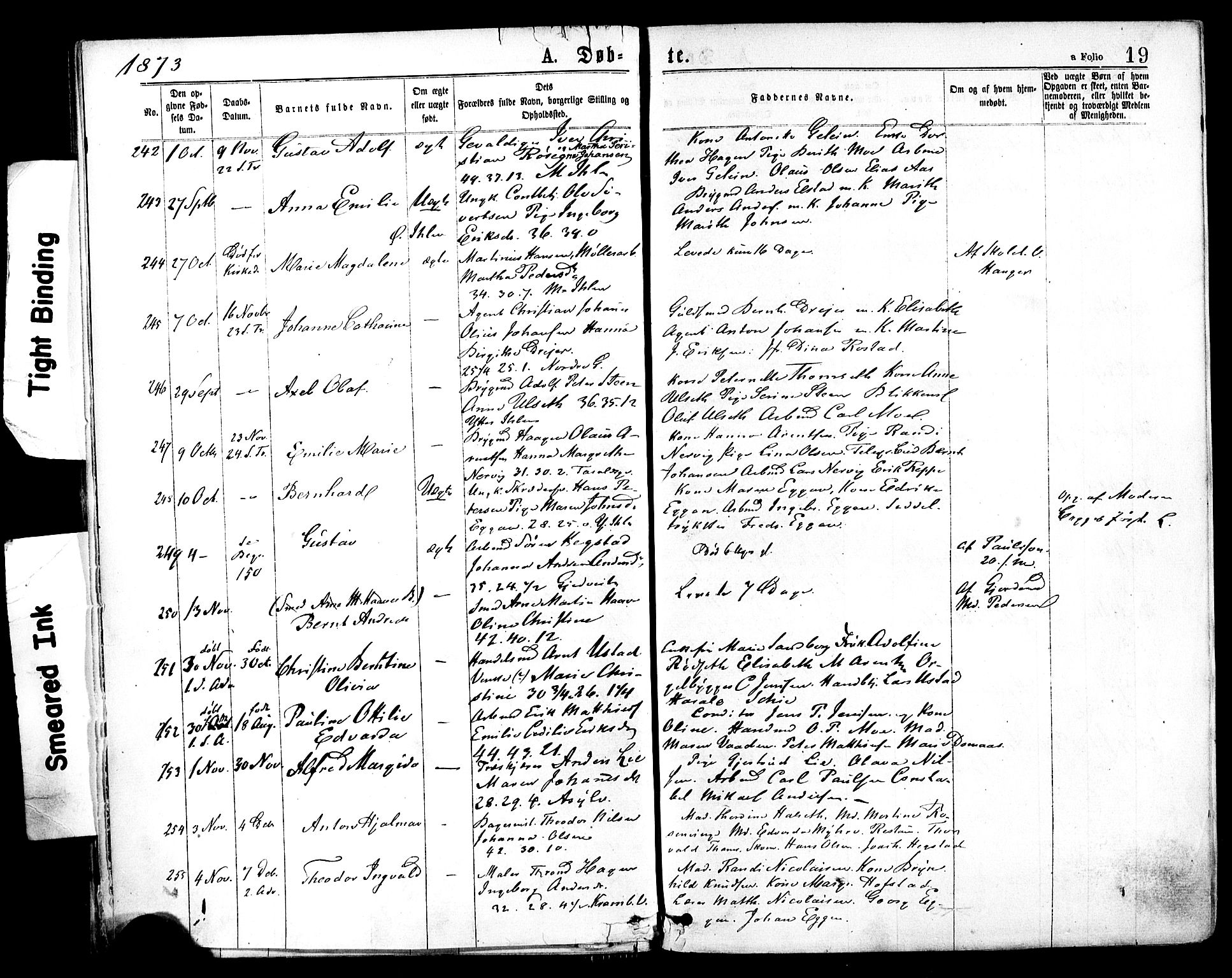 Ministerialprotokoller, klokkerbøker og fødselsregistre - Sør-Trøndelag, SAT/A-1456/602/L0118: Parish register (official) no. 602A16, 1873-1879, p. 19