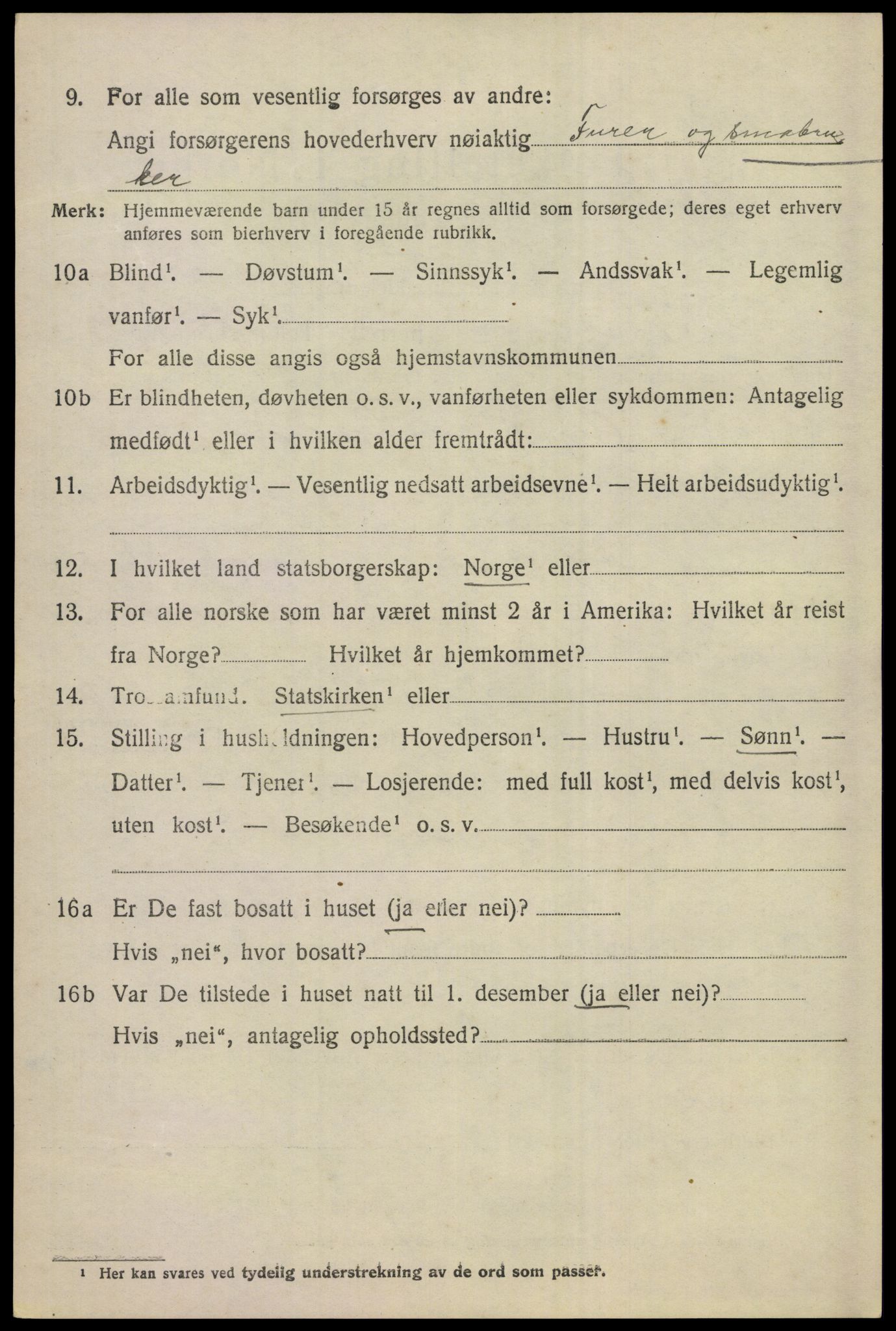 SAKO, 1920 census for Ål, 1920, p. 8061