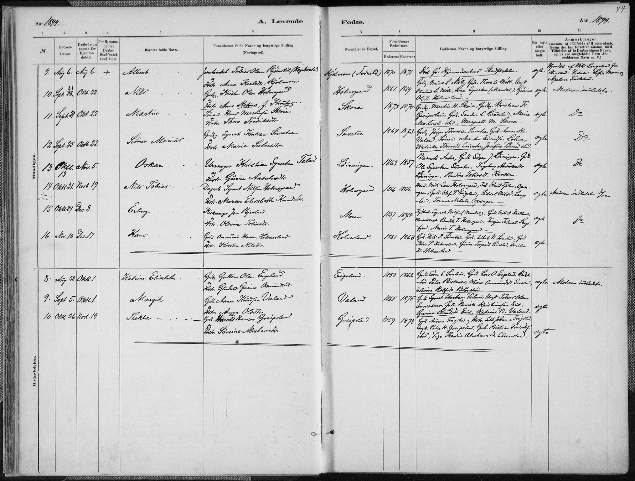 Holum sokneprestkontor, AV/SAK-1111-0022/F/Fa/Faa/L0007: Parish register (official) no. A 7, 1884-1907, p. 44