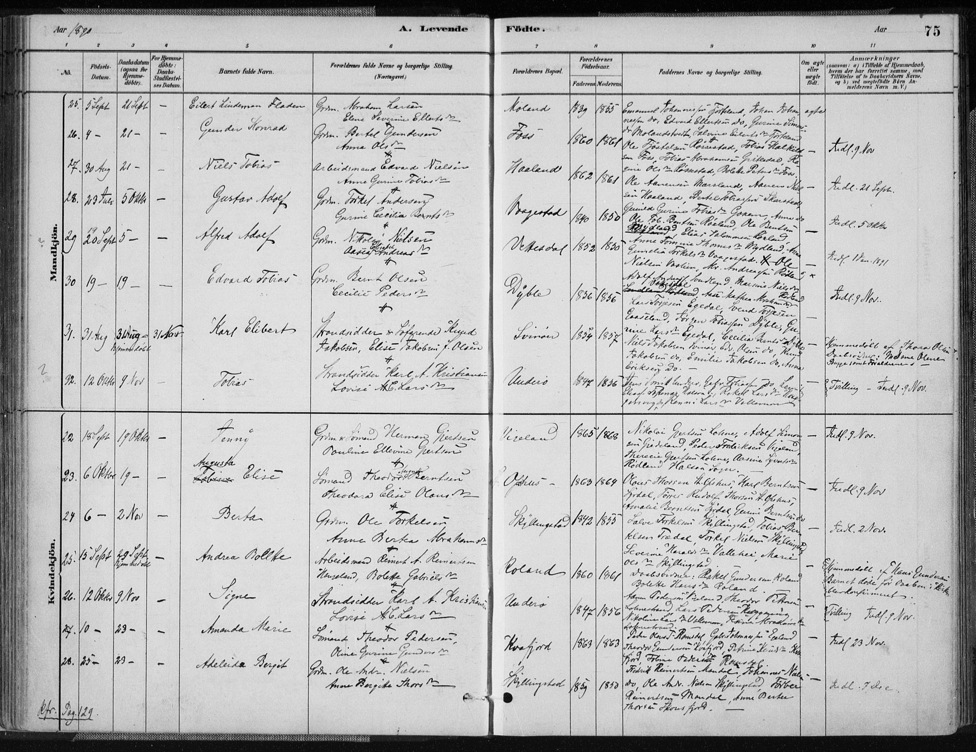 Sør-Audnedal sokneprestkontor, SAK/1111-0039/F/Fa/Fab/L0009: Parish register (official) no. A 9, 1880-1895, p. 75