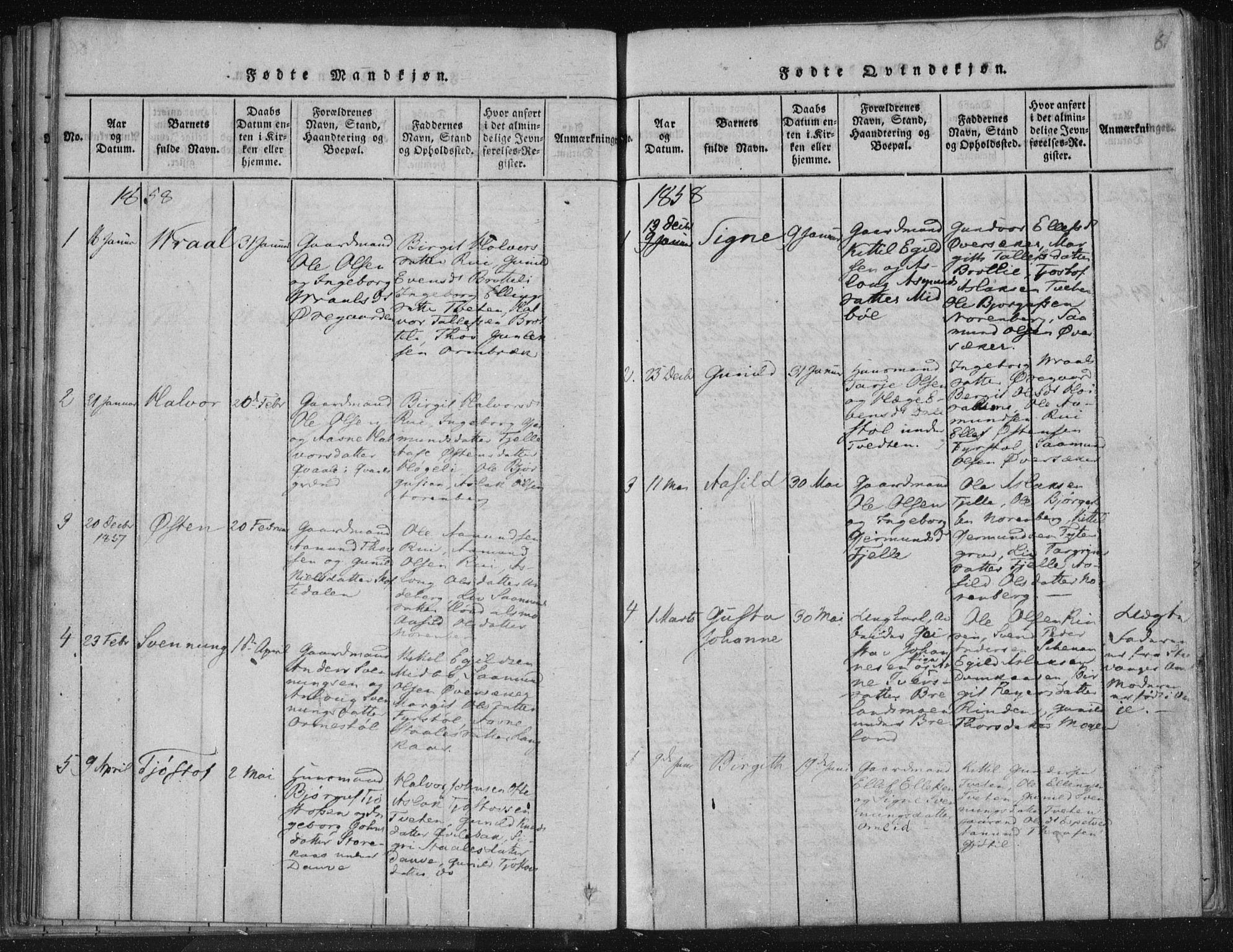 Lårdal kirkebøker, SAKO/A-284/F/Fc/L0001: Parish register (official) no. III 1, 1815-1860, p. 81