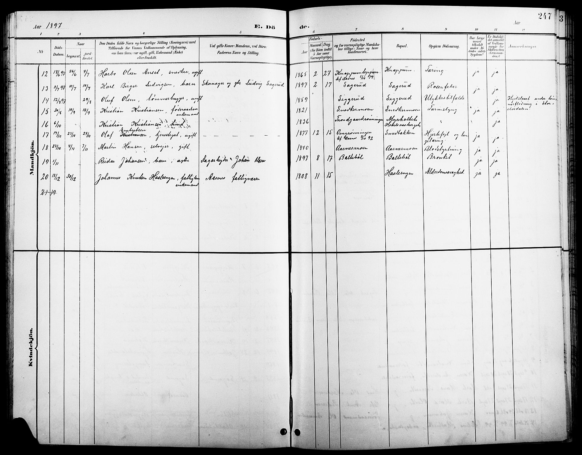 Åsnes prestekontor, SAH/PREST-042/H/Ha/Hab/L0004: Parish register (copy) no. 4, 1895-1909, p. 247