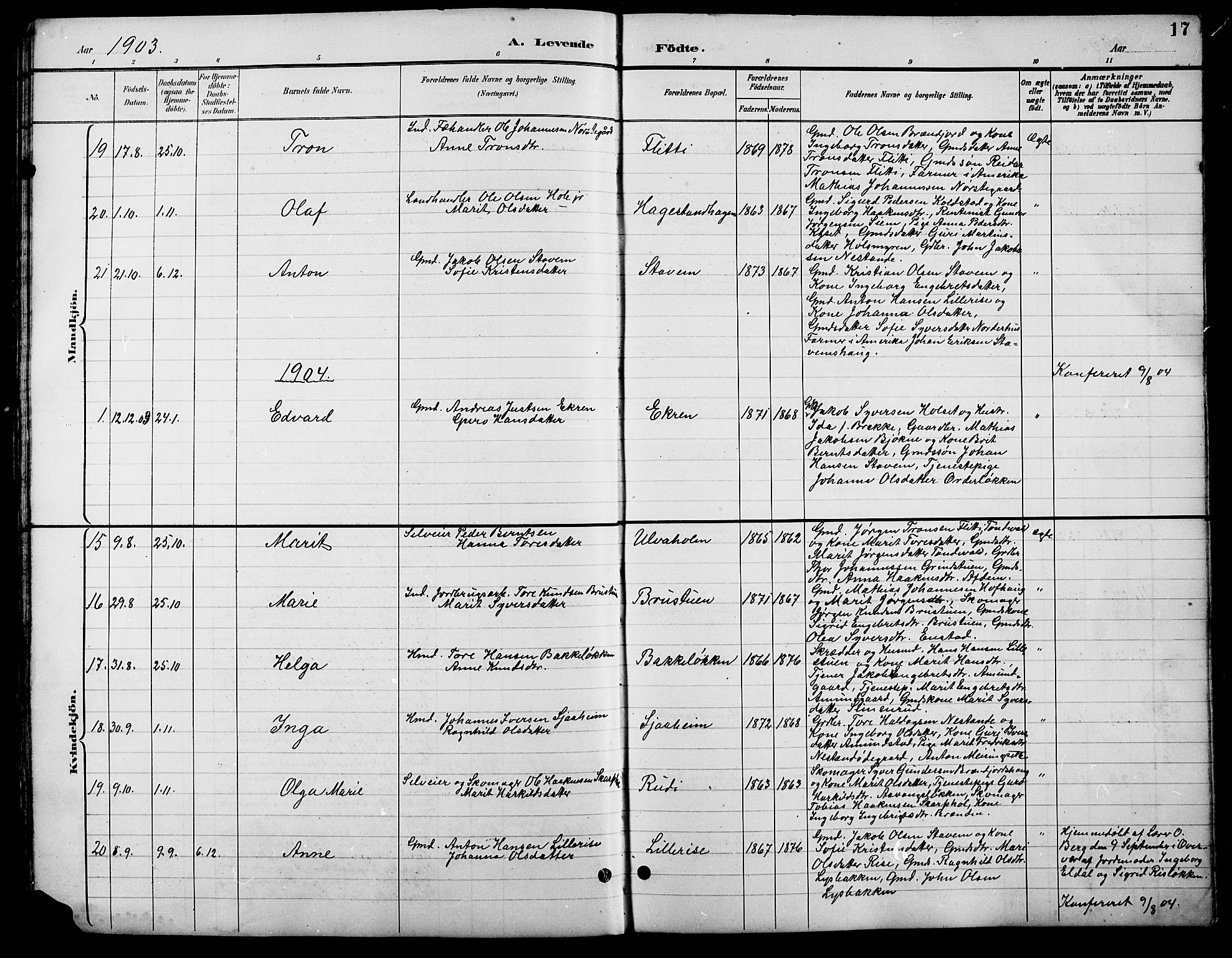 Lesja prestekontor, SAH/PREST-068/H/Ha/Hab/L0007: Parish register (copy) no. 7, 1895-1919, p. 17