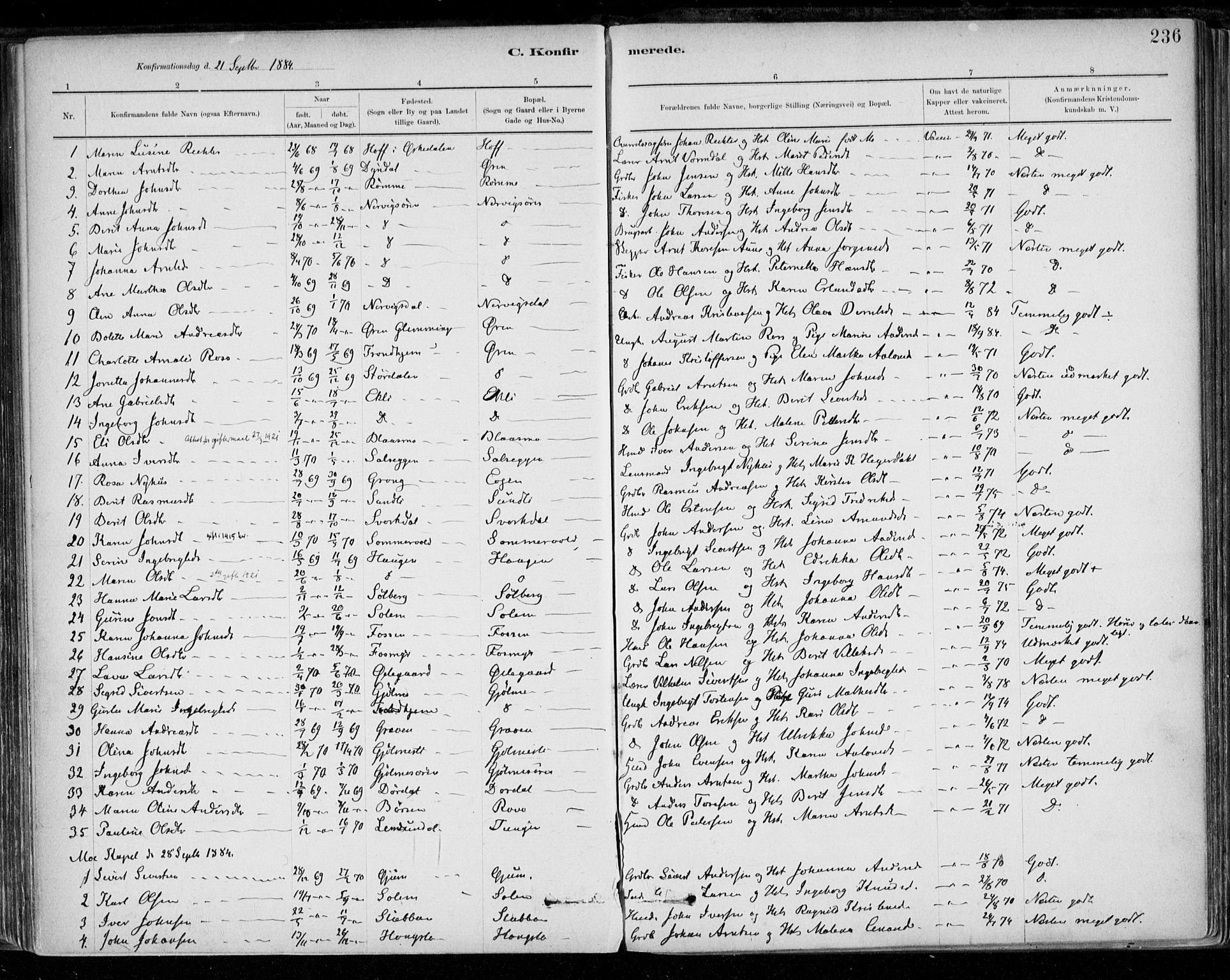 Ministerialprotokoller, klokkerbøker og fødselsregistre - Sør-Trøndelag, SAT/A-1456/668/L0809: Parish register (official) no. 668A09, 1881-1895, p. 236