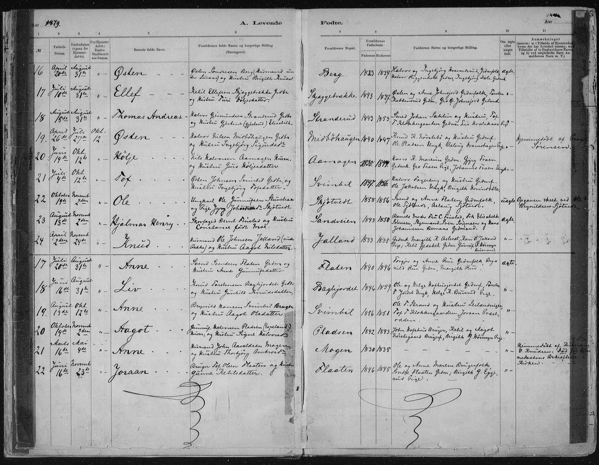 Tinn kirkebøker, AV/SAKO-A-308/F/Fa/L0007: Parish register (official) no. I 7, 1878-1922, p. 5