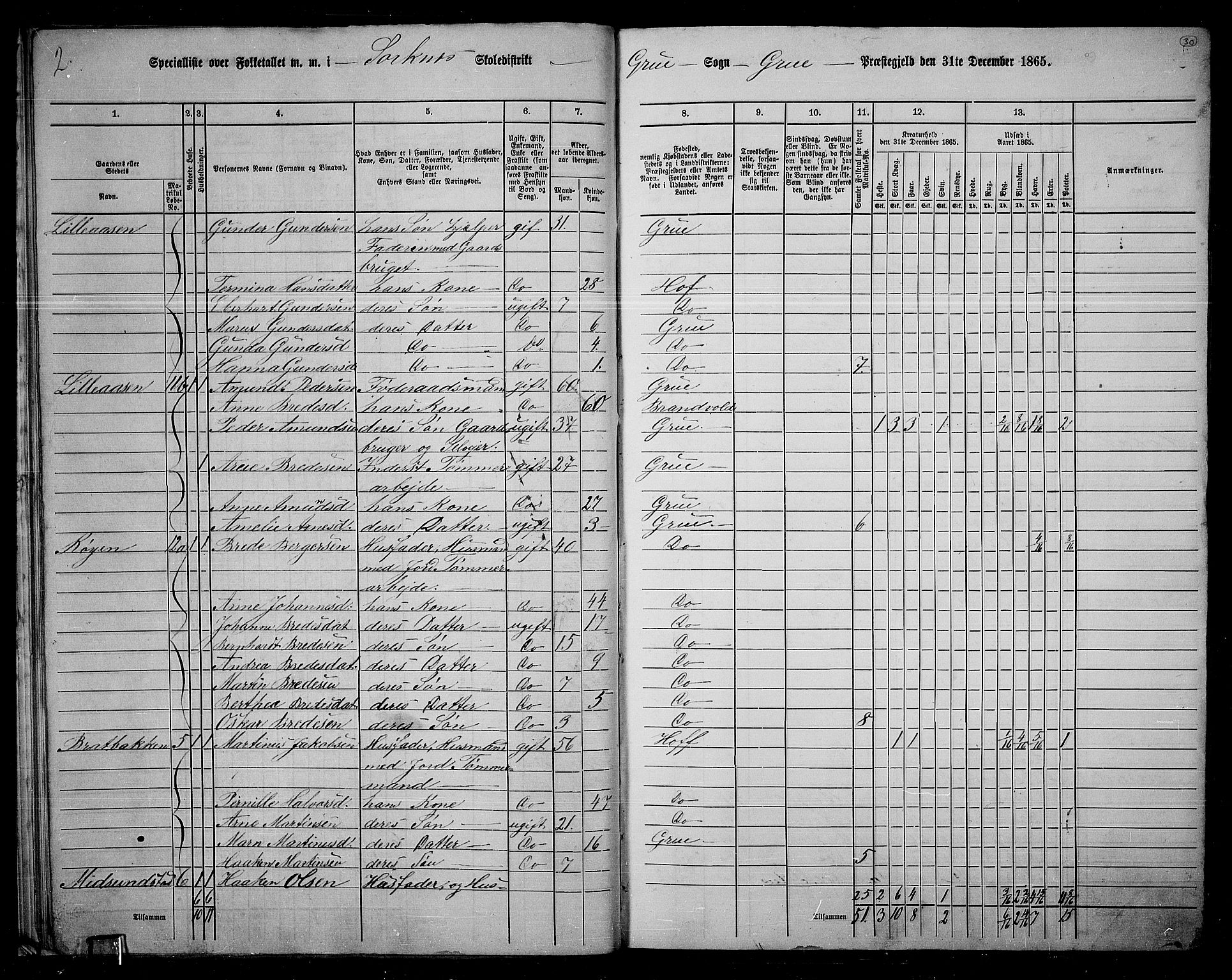 RA, 1865 census for Grue, 1865, p. 29