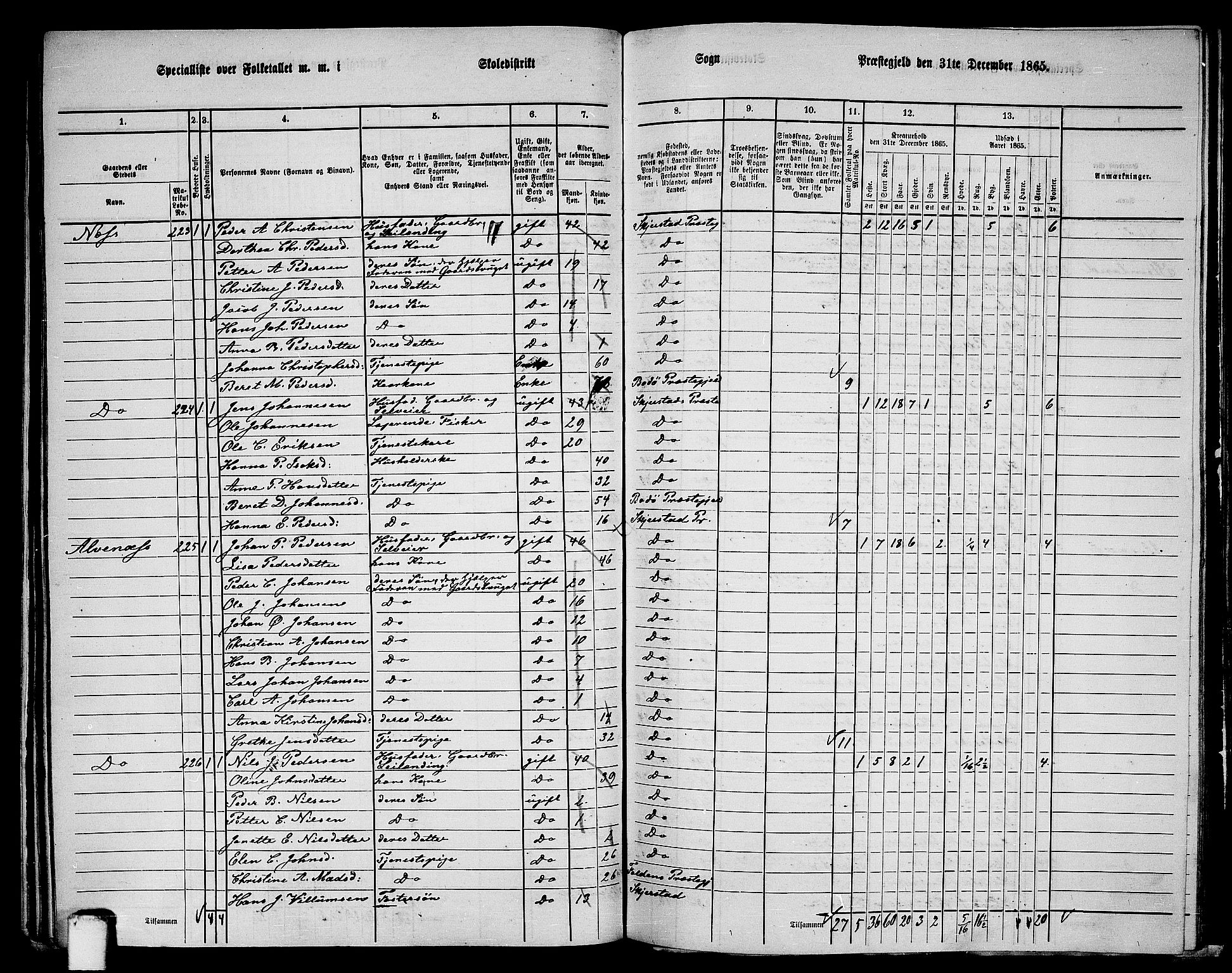 RA, 1865 census for Skjerstad, 1865, p. 113