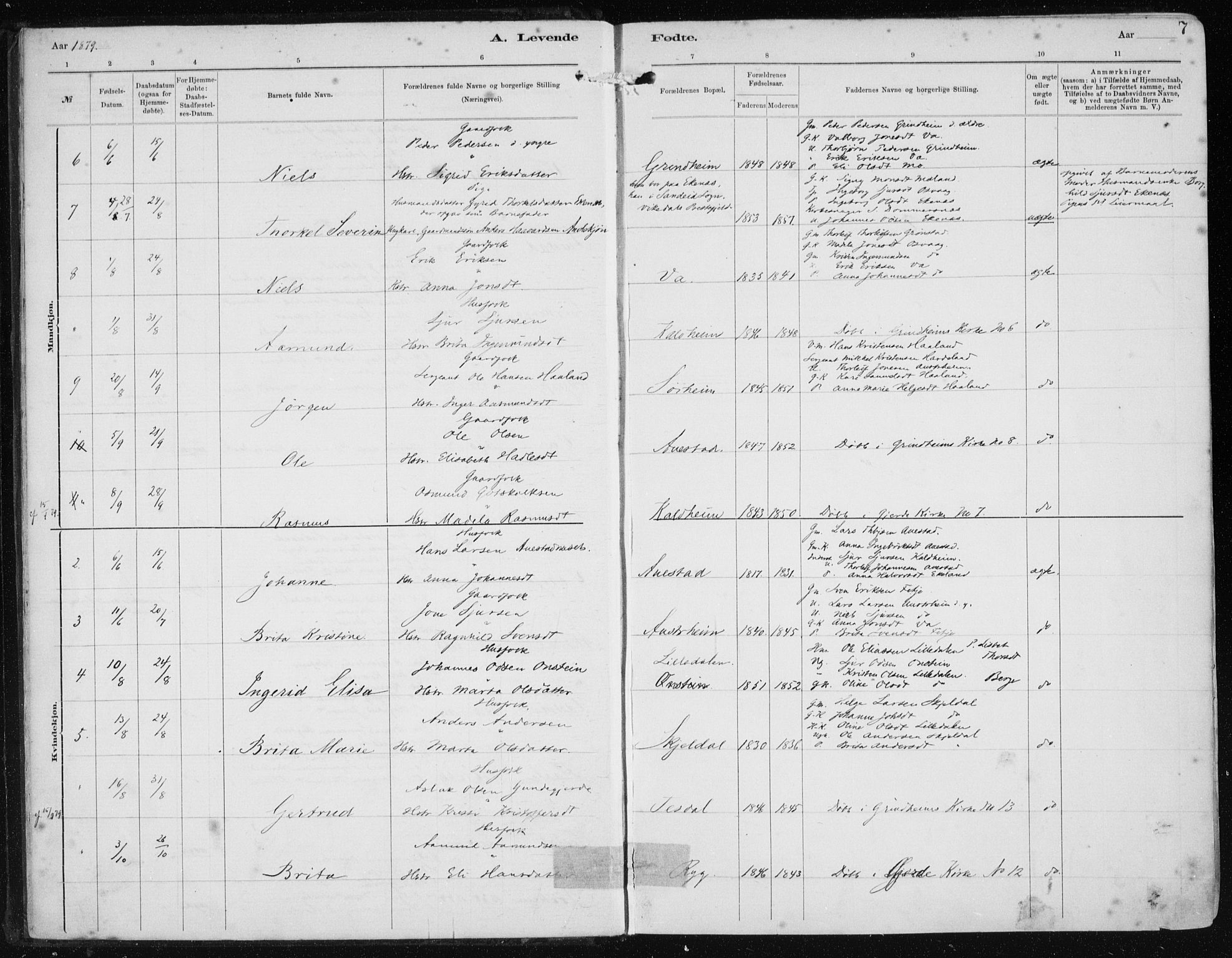 Etne sokneprestembete, AV/SAB-A-75001/H/Haa: Parish register (official) no. B  1, 1879-1919, p. 7