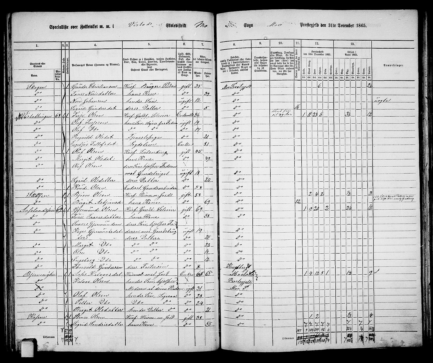 RA, 1865 census for Mo, 1865, p. 54