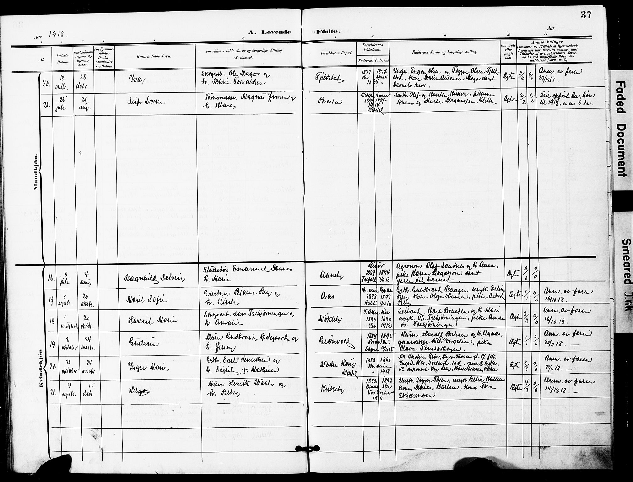 Nittedal prestekontor Kirkebøker, AV/SAO-A-10365a/G/Gb/L0003: Parish register (copy) no. II 3, 1902-1924, p. 37