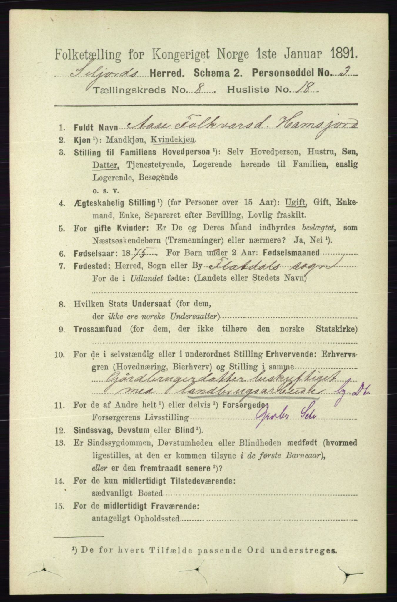 RA, 1891 census for 0828 Seljord, 1891, p. 2978