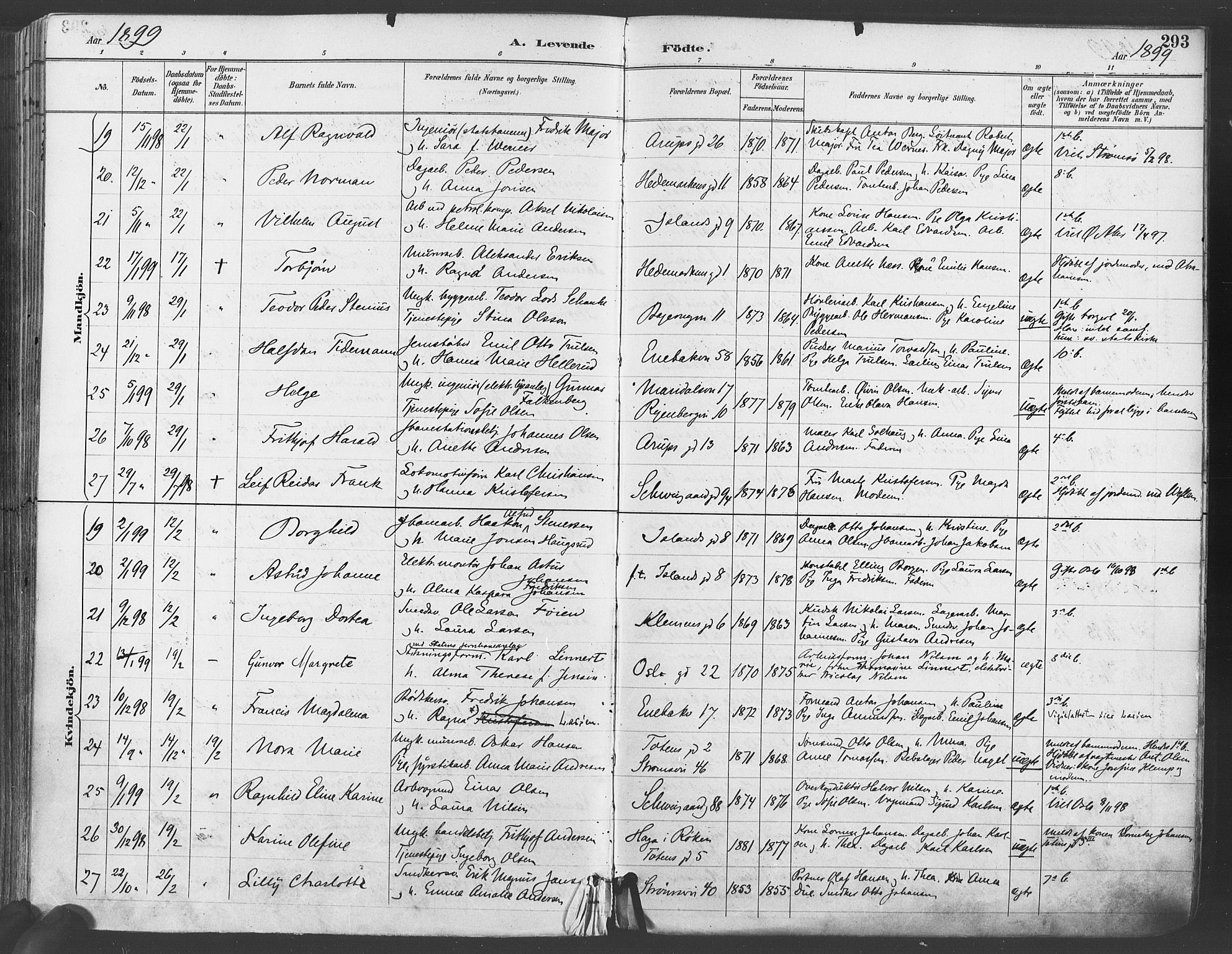 Gamlebyen prestekontor Kirkebøker, AV/SAO-A-10884/F/Fa/L0007: Parish register (official) no. 7, 1889-1899, p. 293