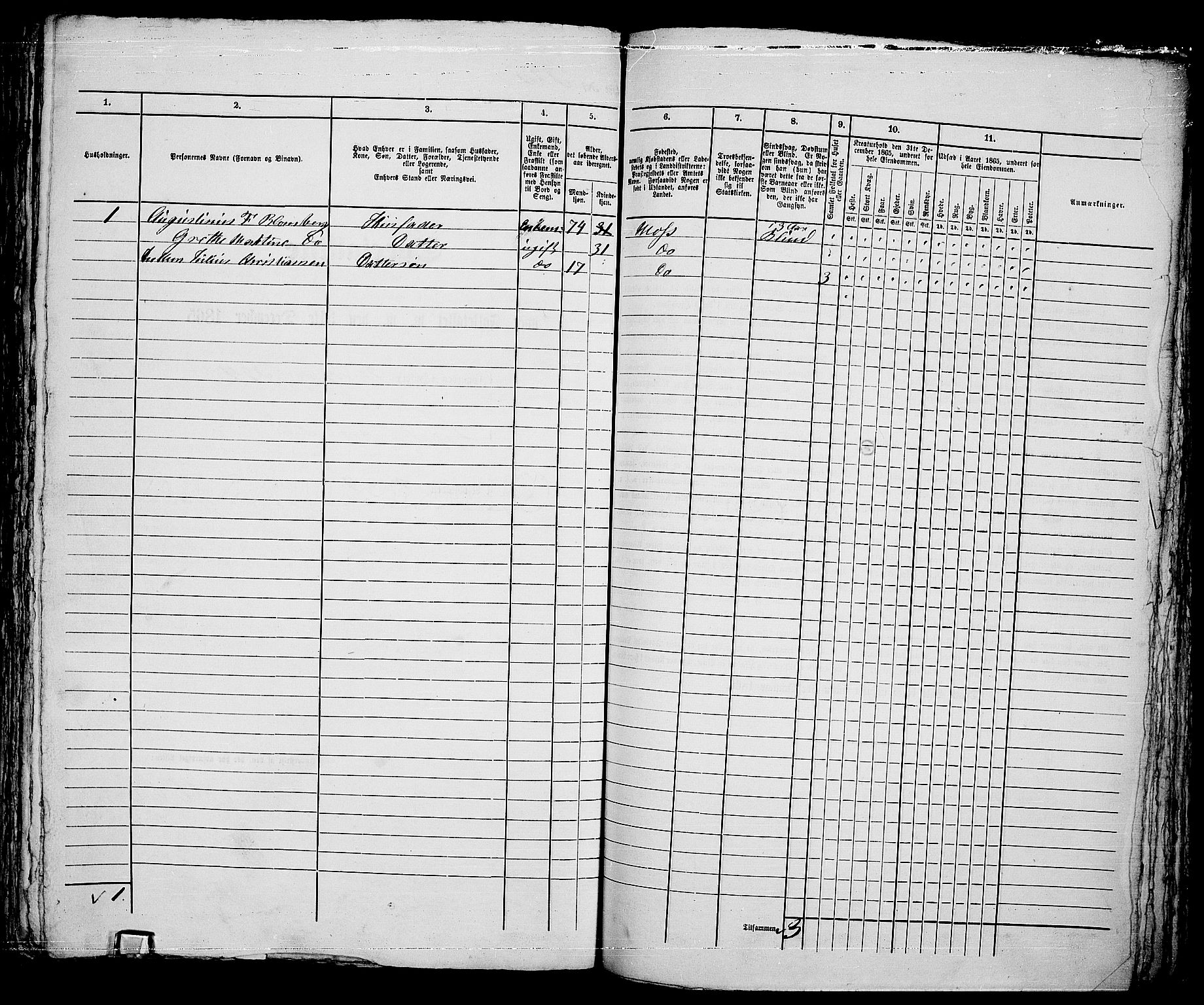 RA, 1865 census for Moss/Moss, 1865, p. 661