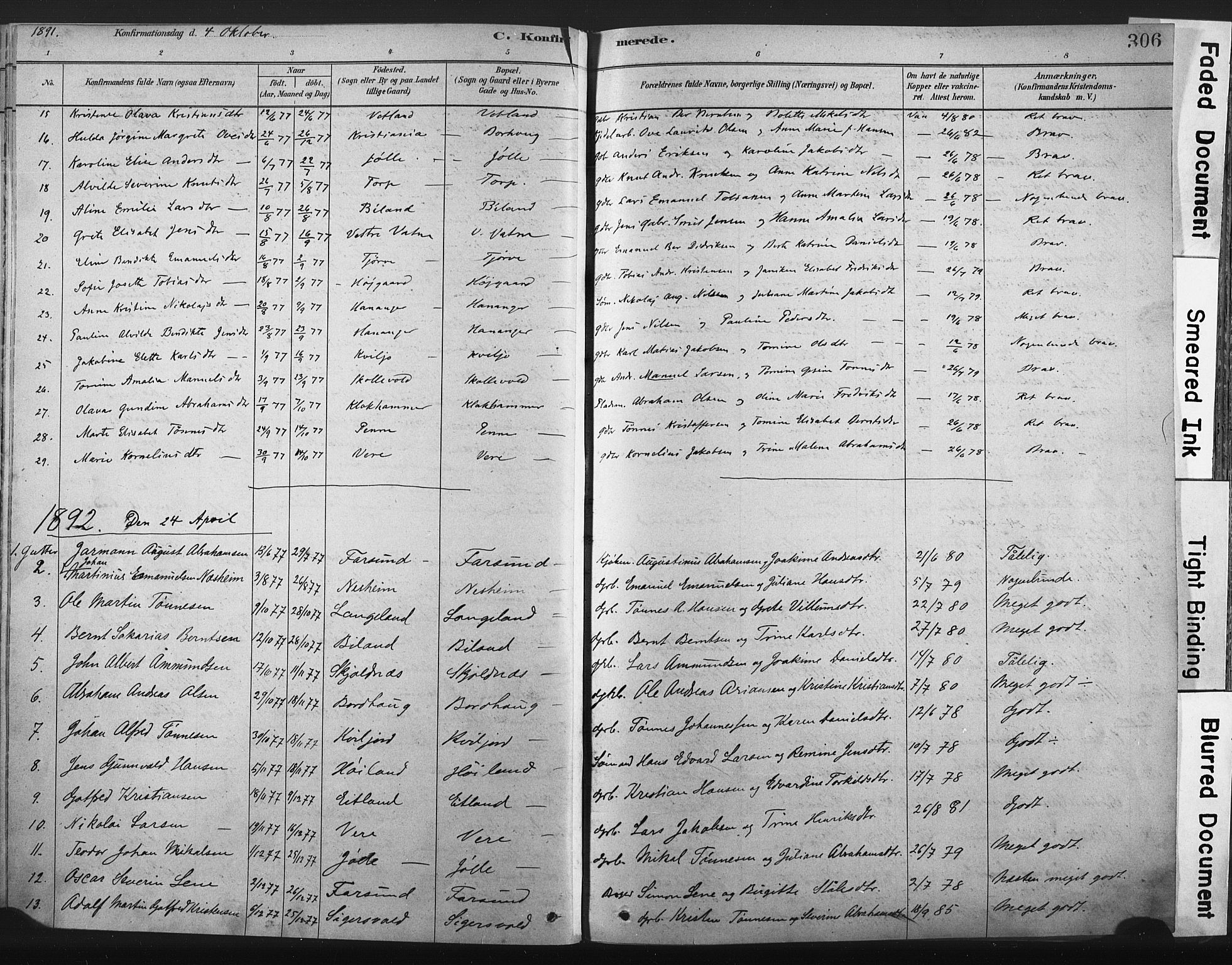 Lista sokneprestkontor, AV/SAK-1111-0027/F/Fa/L0012: Parish register (official) no. A 12, 1879-1903, p. 306